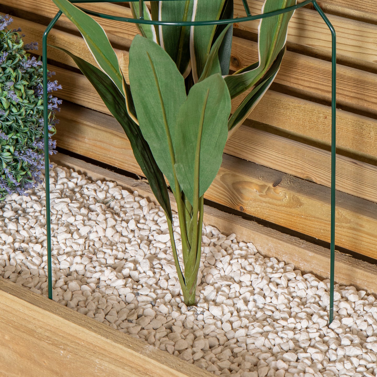 Pack of 3 Tom Chambers Urban Dark Green Metal Herbaceous Garden Plant Support Grow Through Medium 50cm x 30cm