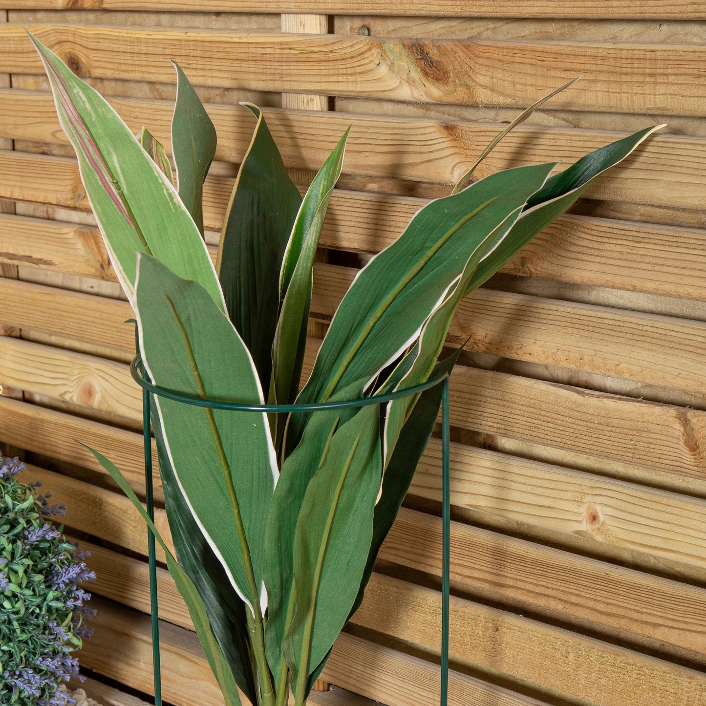 Pack of 3 Tom Chambers Urban Metal Green Herbaceous Garden Plant Support Arc 20cm x 60cm - Small