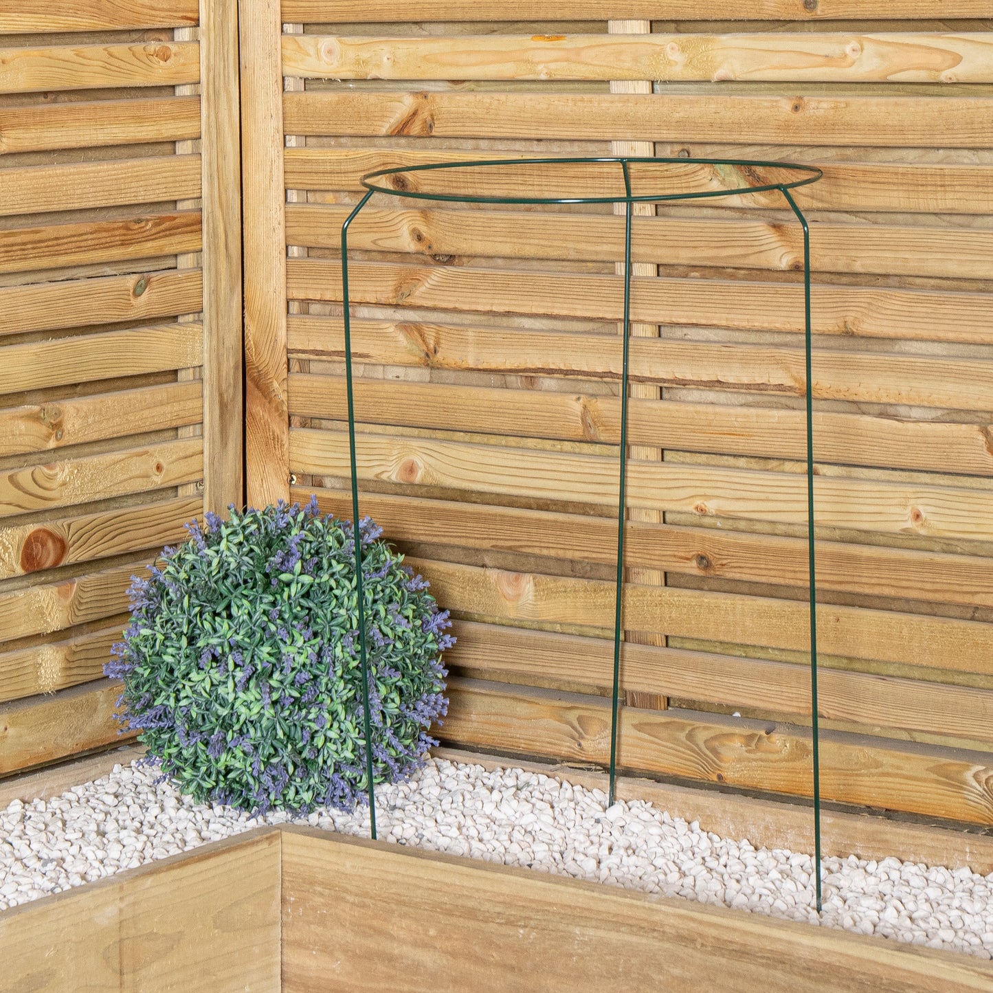 Pack of 3 Tom Chambers Urban Metal Herbaceous Garden Plant Support Ring Large 40cm x 60cm