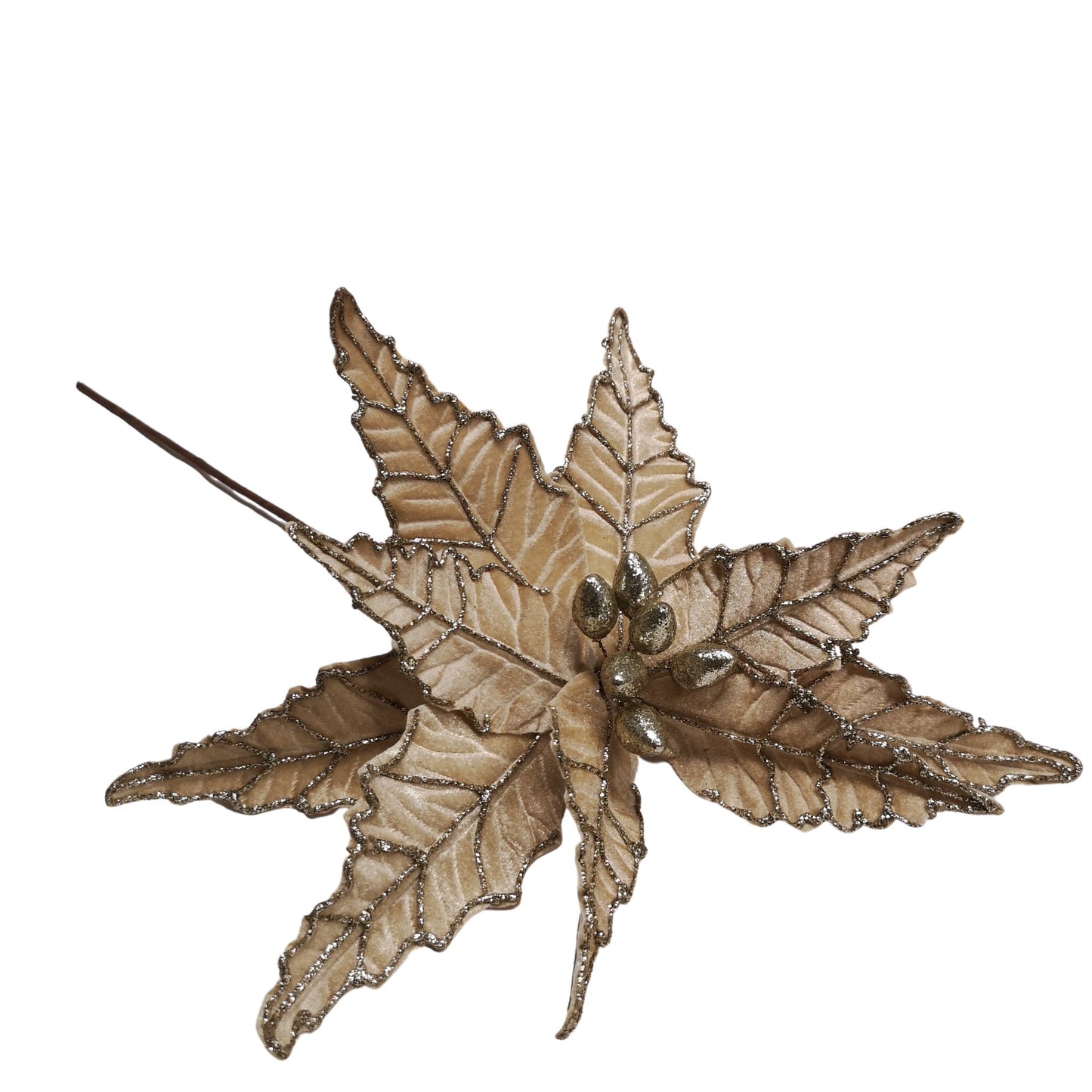 50cm Champagne Velvet Poinsettia Stem with Glitter Christmas Decoration