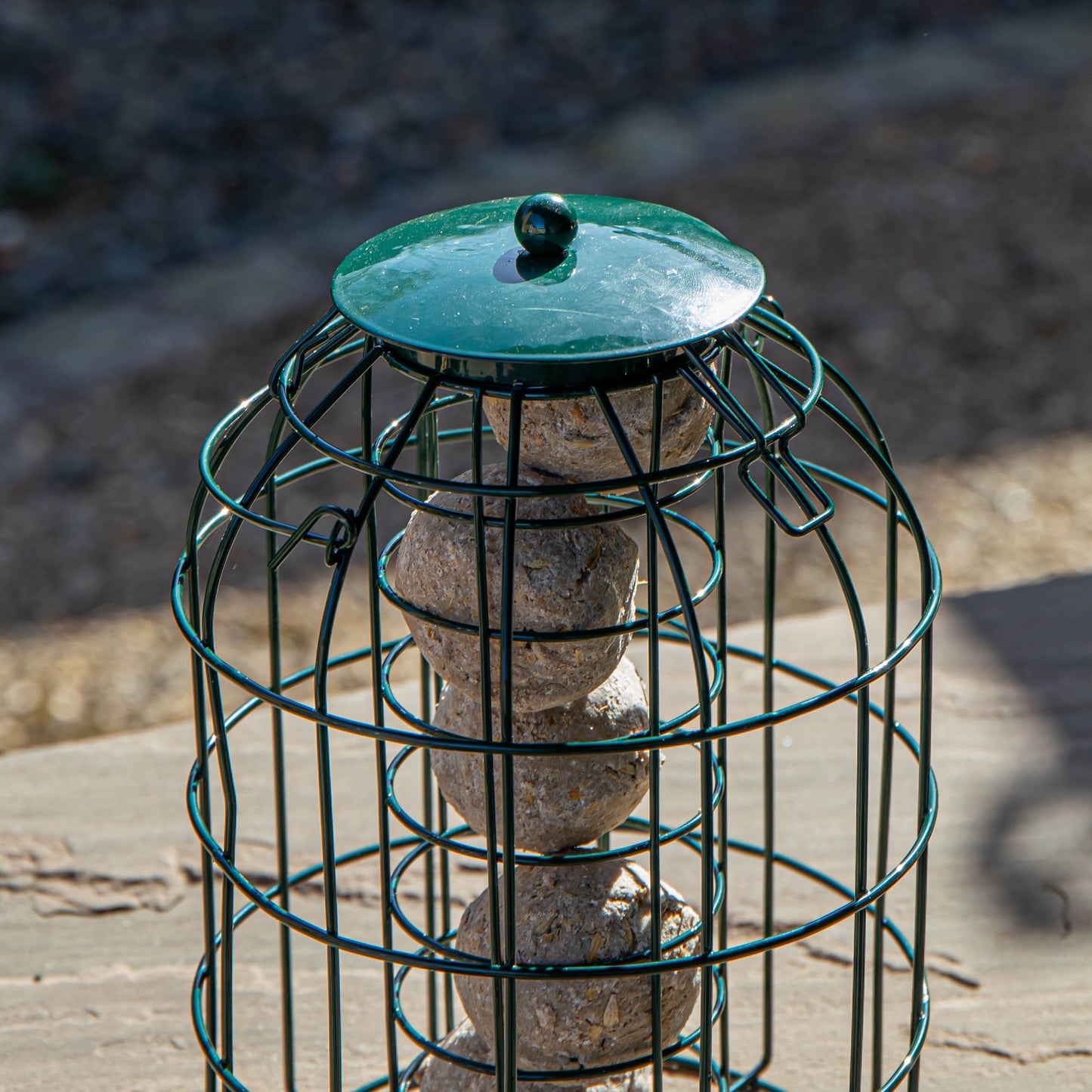 Natures Market Wild Bird Fat Ball Feeder with Squirrel Guard