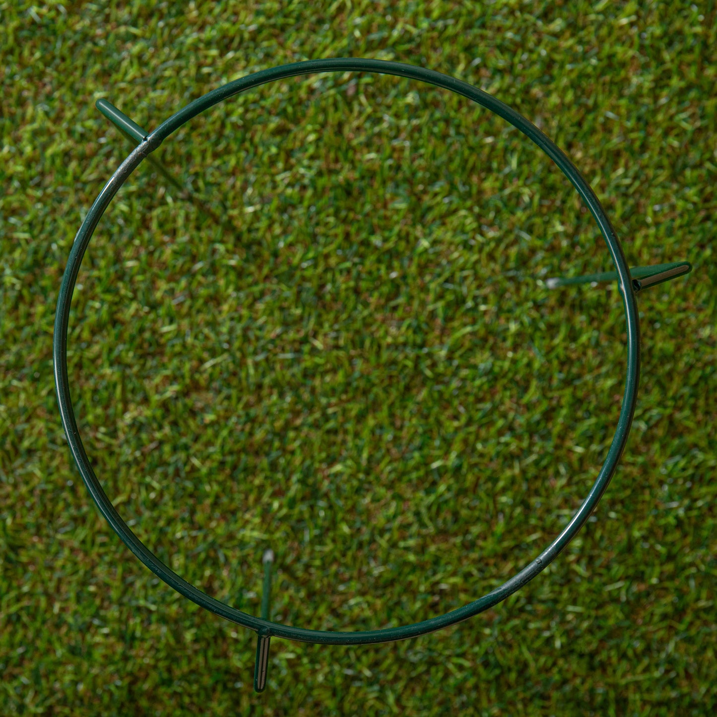 Tom Chambers Green Metal Herbaceous Garden Plant Support Ring Small