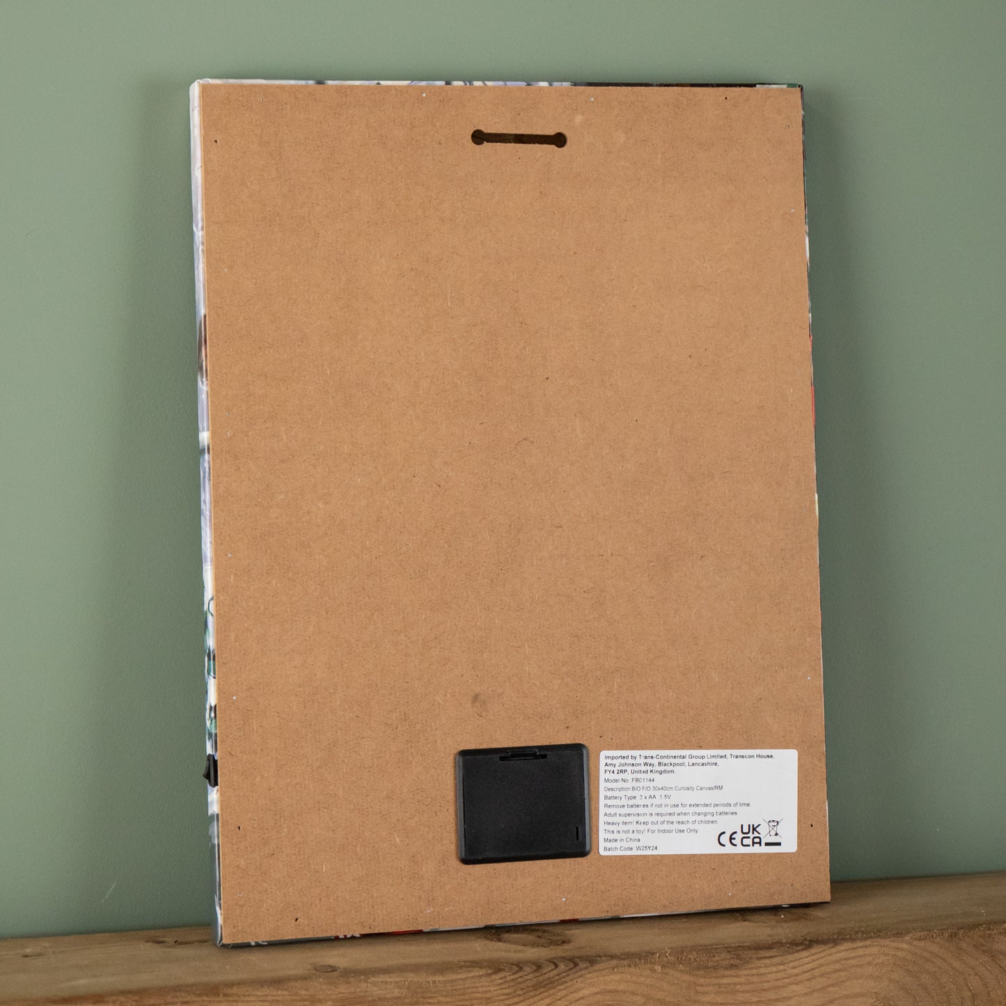 40cm x 30cm Battery Operated Light up Fibre Optic Christmas Dog & Robin Wall Art