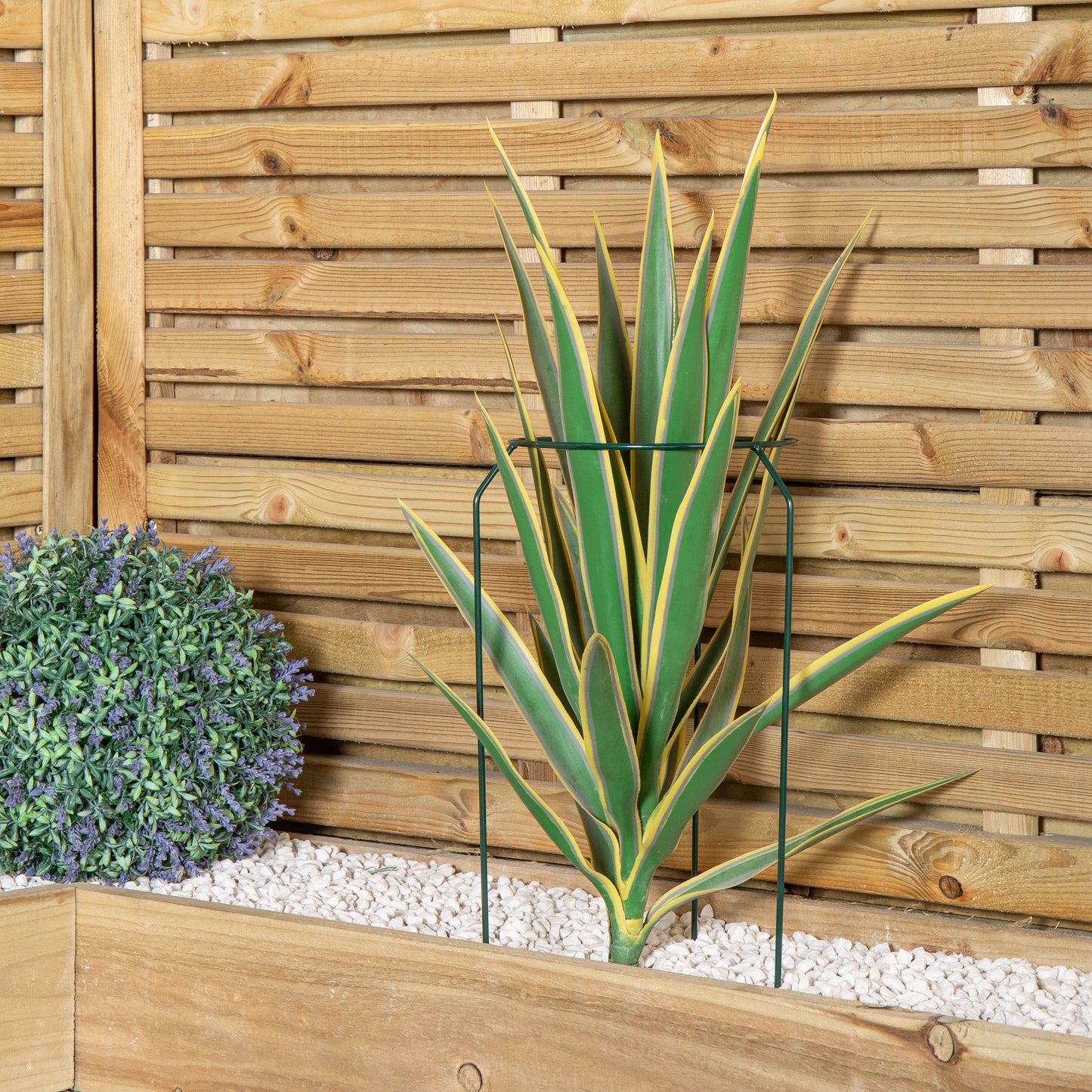 Tom Chambers Green Metal Herbaceous Garden Plant Support Ring Small