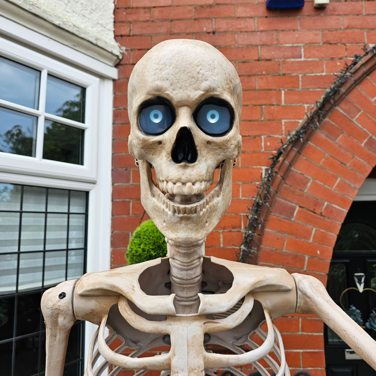 GIANT 8ft (240cm) Standing Indoor Outdoor Animatronic Halloween Skeleton Decoration