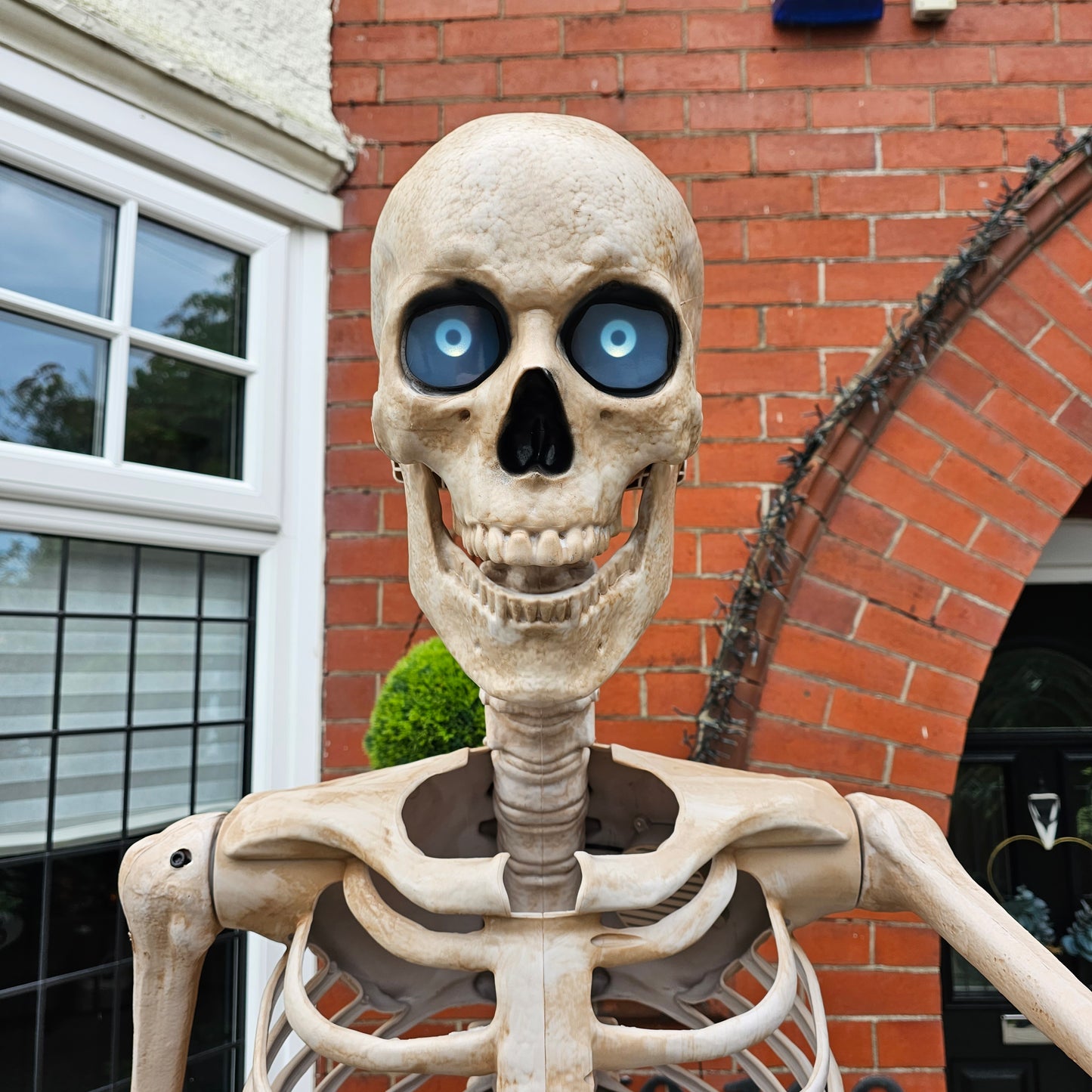 GIANT 8ft (240cm) Standing Indoor Outdoor Animatronic Halloween Skeleton Decoration