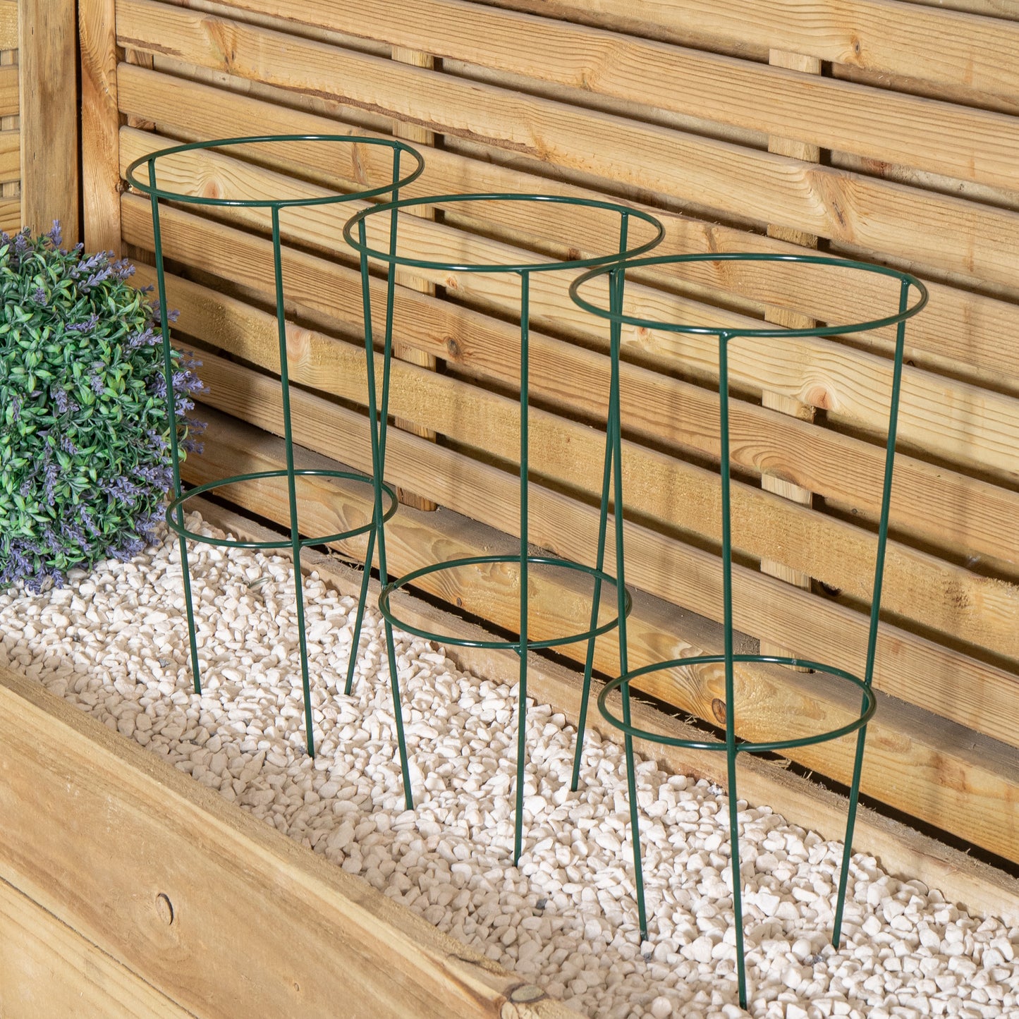 Pack of 3 Tom Chambers Urban Green Conical Garden Plant Support Ring 20cm- Small