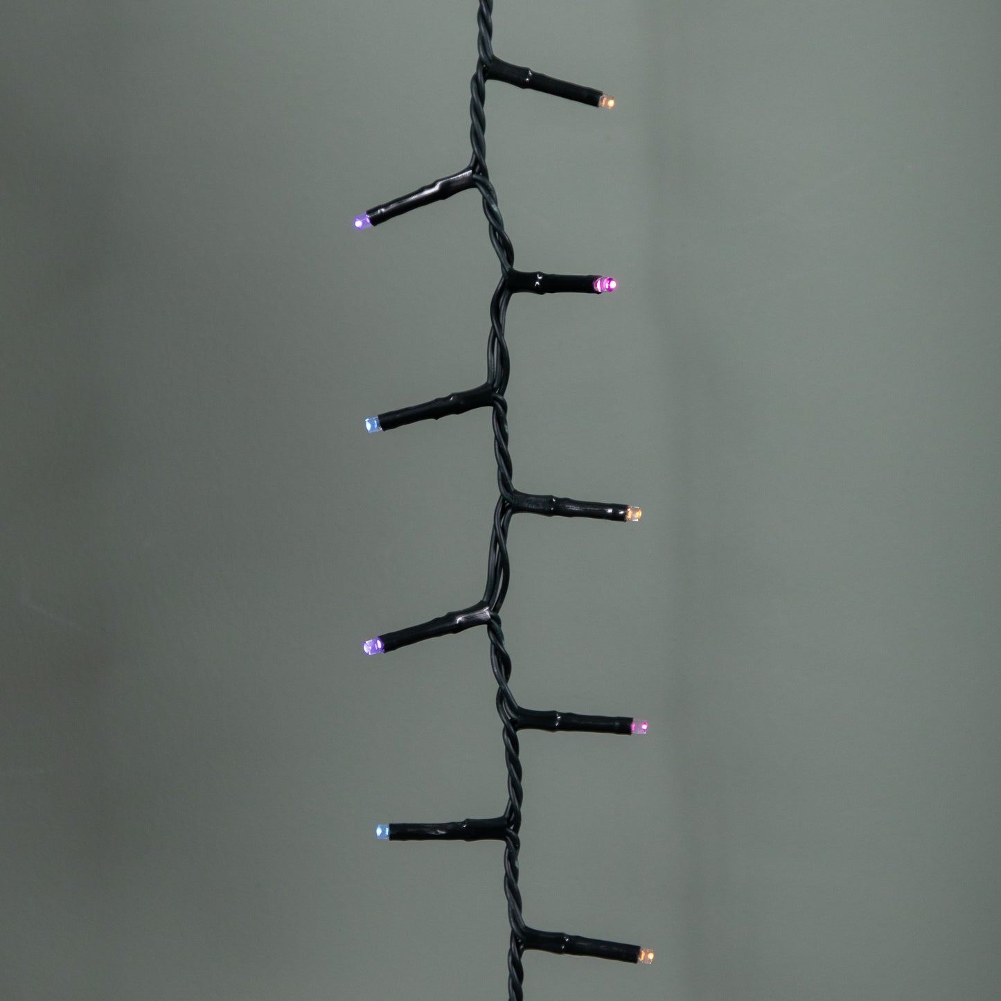 125m Treebrights Christmas Lights with 5000 LEDs in Rainbow with Timer