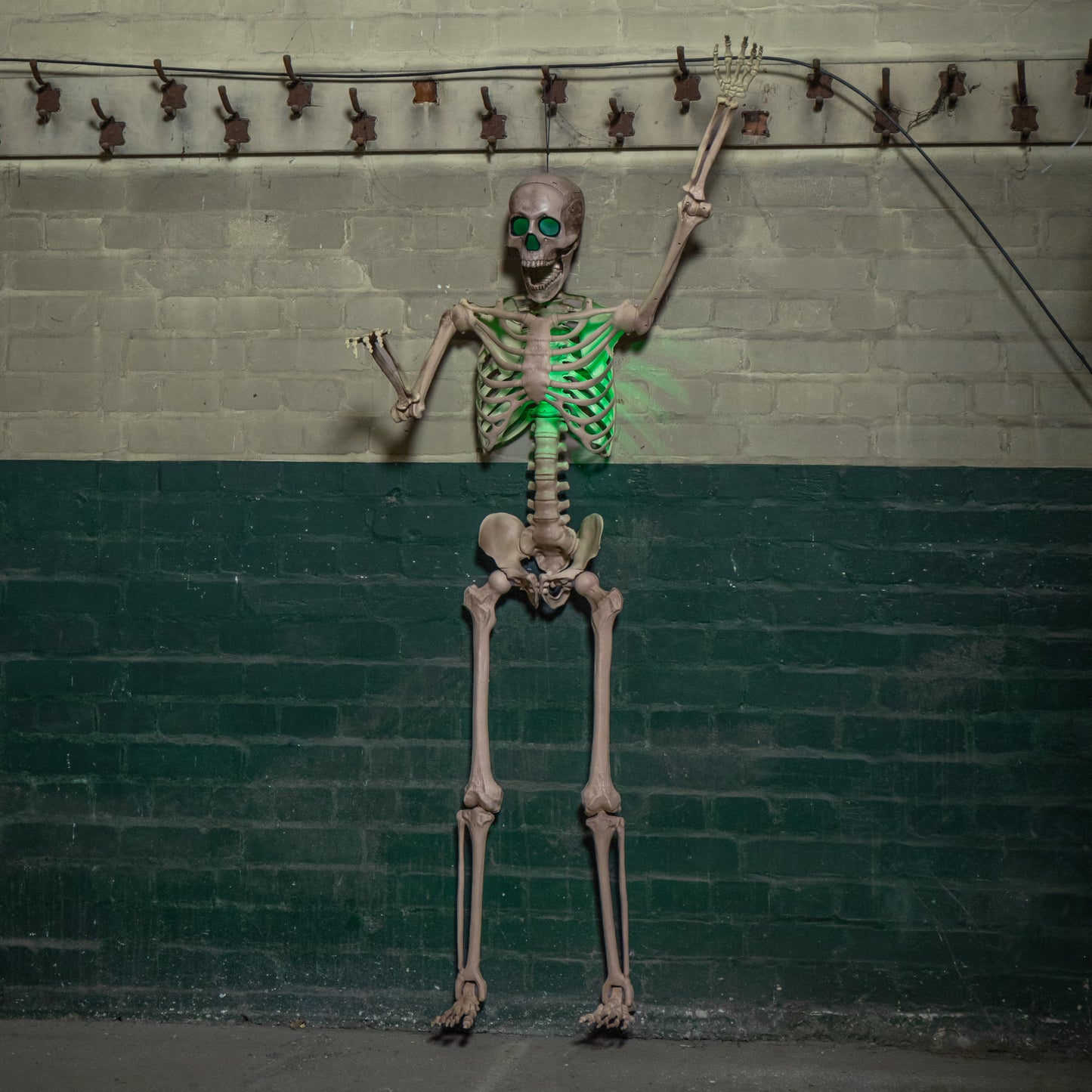 5ft (152cm) Battery Powered Light up Halloween Skeleton with Poseable Joints & Green LEDs