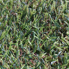 20mm Pile Outdoor Artificial Grass Astro Turf Lawn for Garden Patio 
