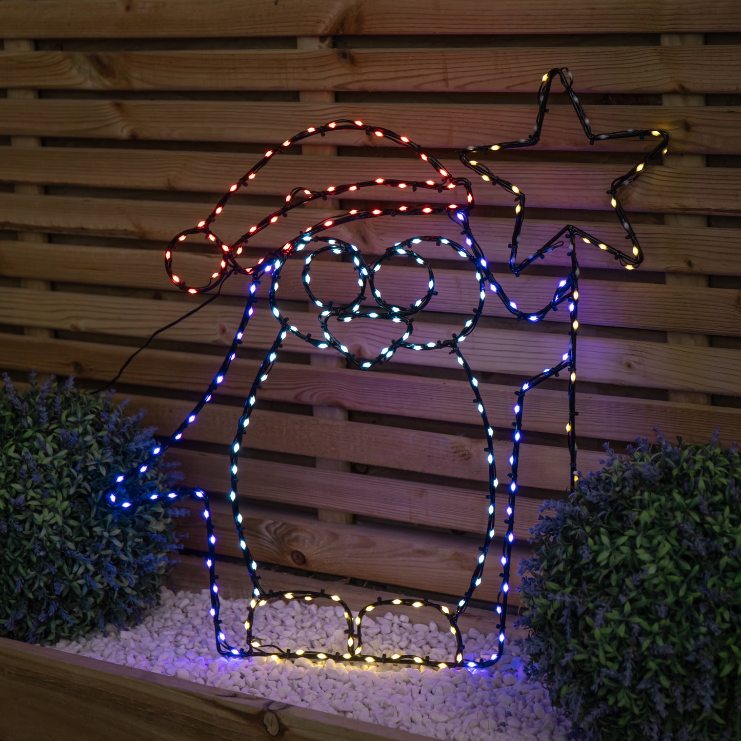 58cm x 52cm Light up FlexiBrights Christmas Penguin with Star & 221 Multi-Coloured LEDs
