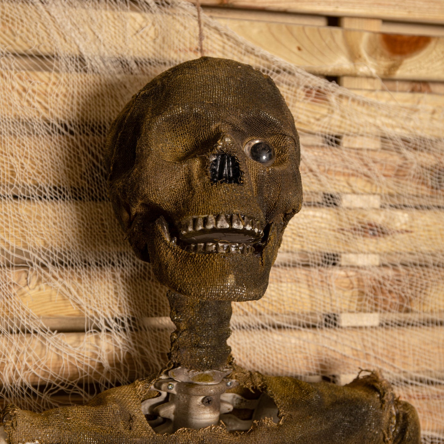 5ft (150cm) Full Body Halloween Mummified Skeleton Decoration with Posable Joints