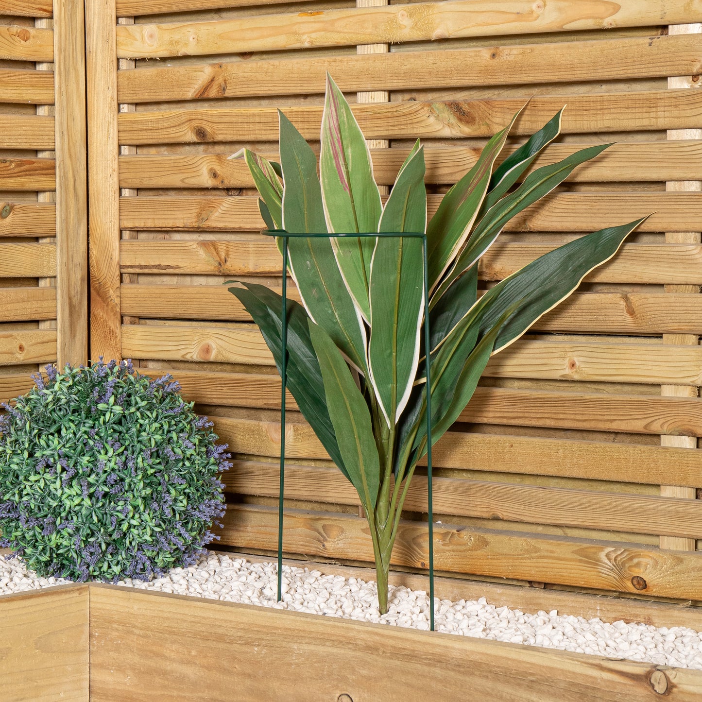 Tom Chambers Urban Metal Green Herbaceous Garden Plant Support Arc 20cm x 60cm - Small