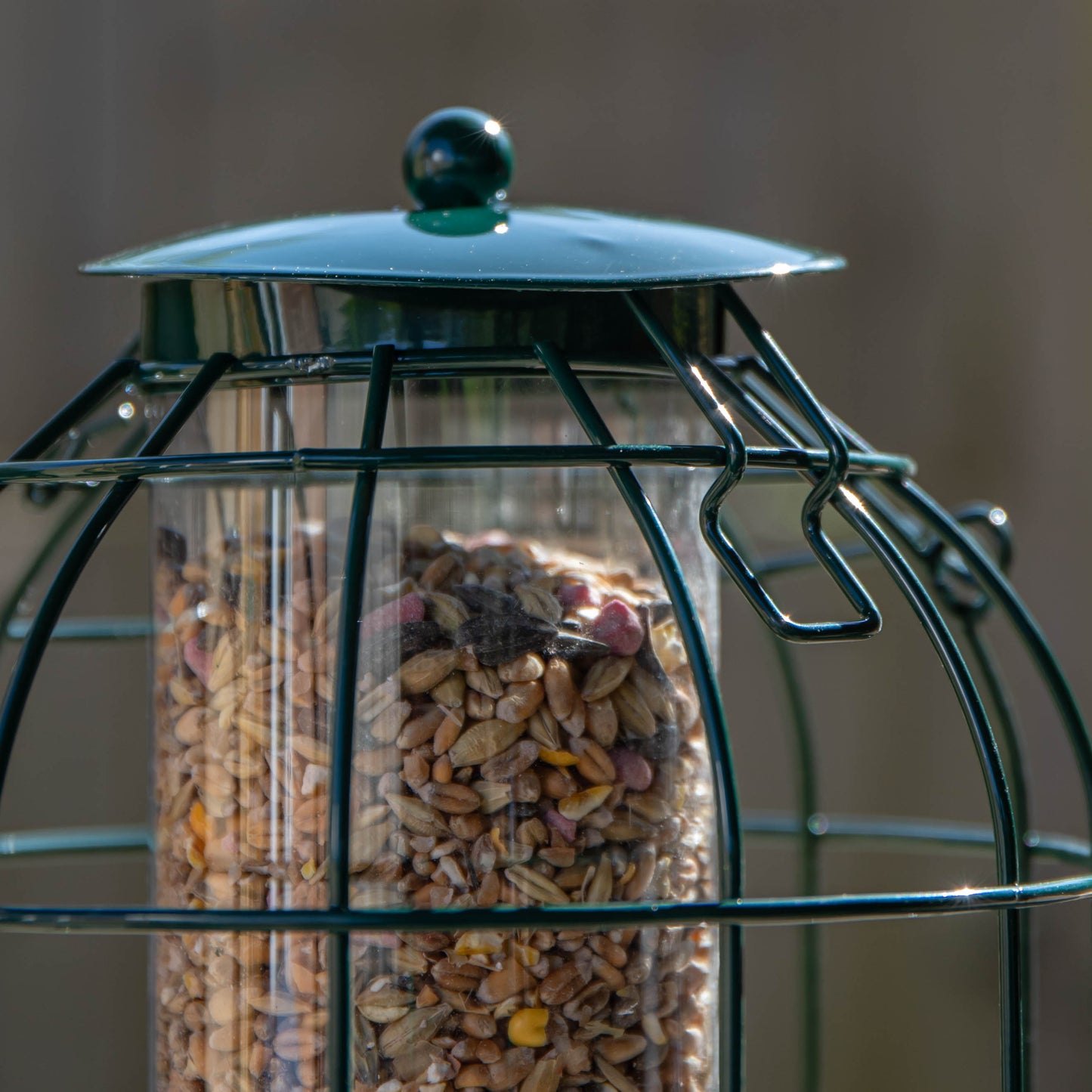 Factory Seconds: Samuel Alexander Metal Hanging Bird Seed Feeder with Squirrel Guard