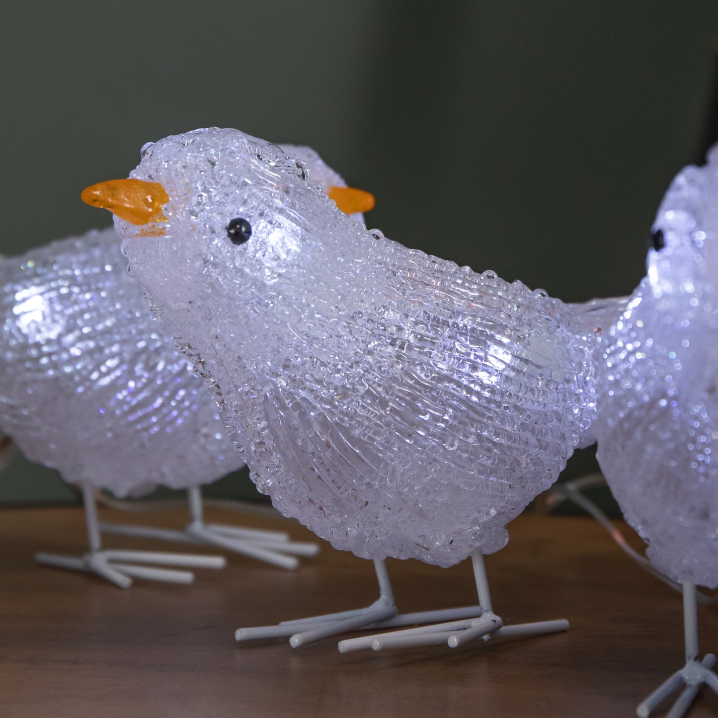 Set of 5 16cm Light up Acrylic Christmas Birds with 30 White LEDs