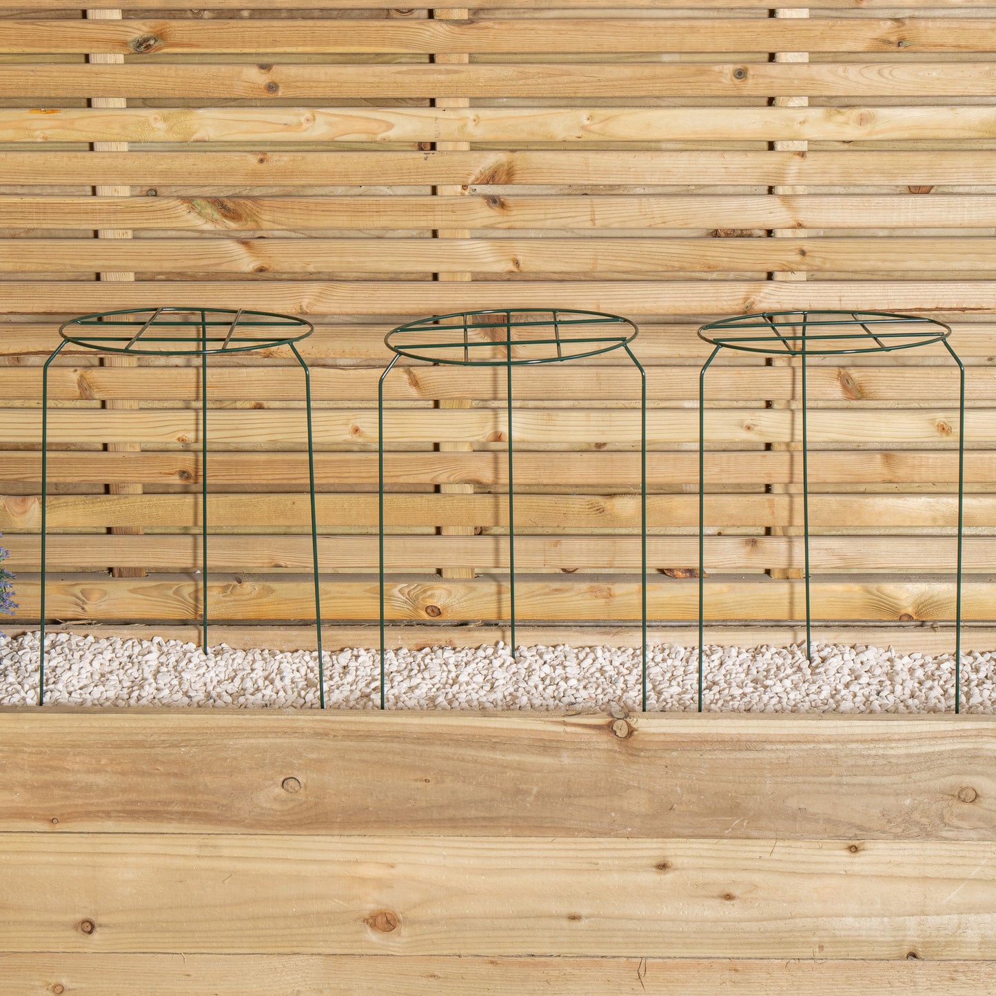 Pack of 3 Tom Chambers Urban Dark Green Metal Herbaceous Garden Plant Support Grow Through Medium 50cm x 30cm