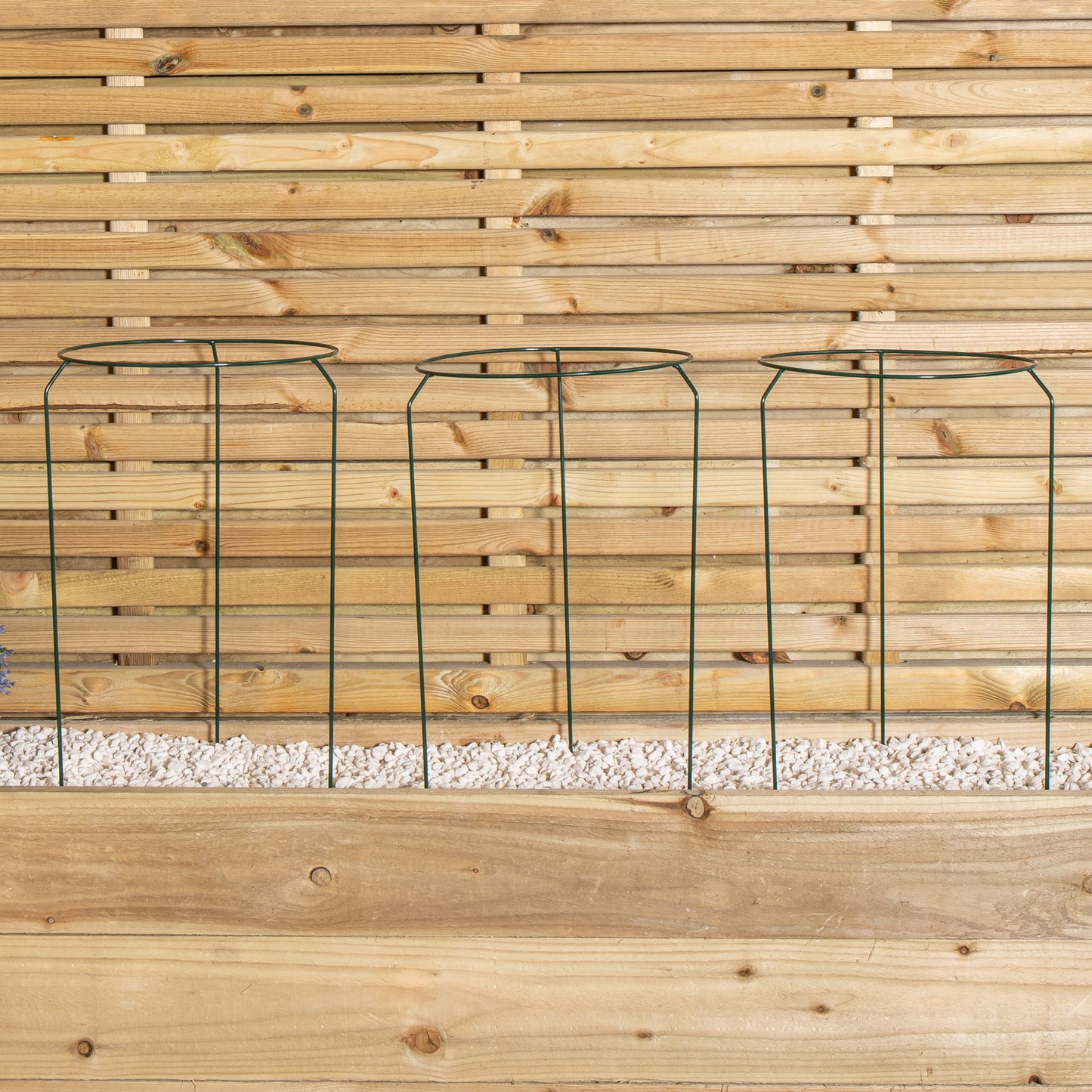 Pack of 3 Tom Chambers Urban Metal Herbaceous Garden Plant Support Ring Medium 30cm x 50cm