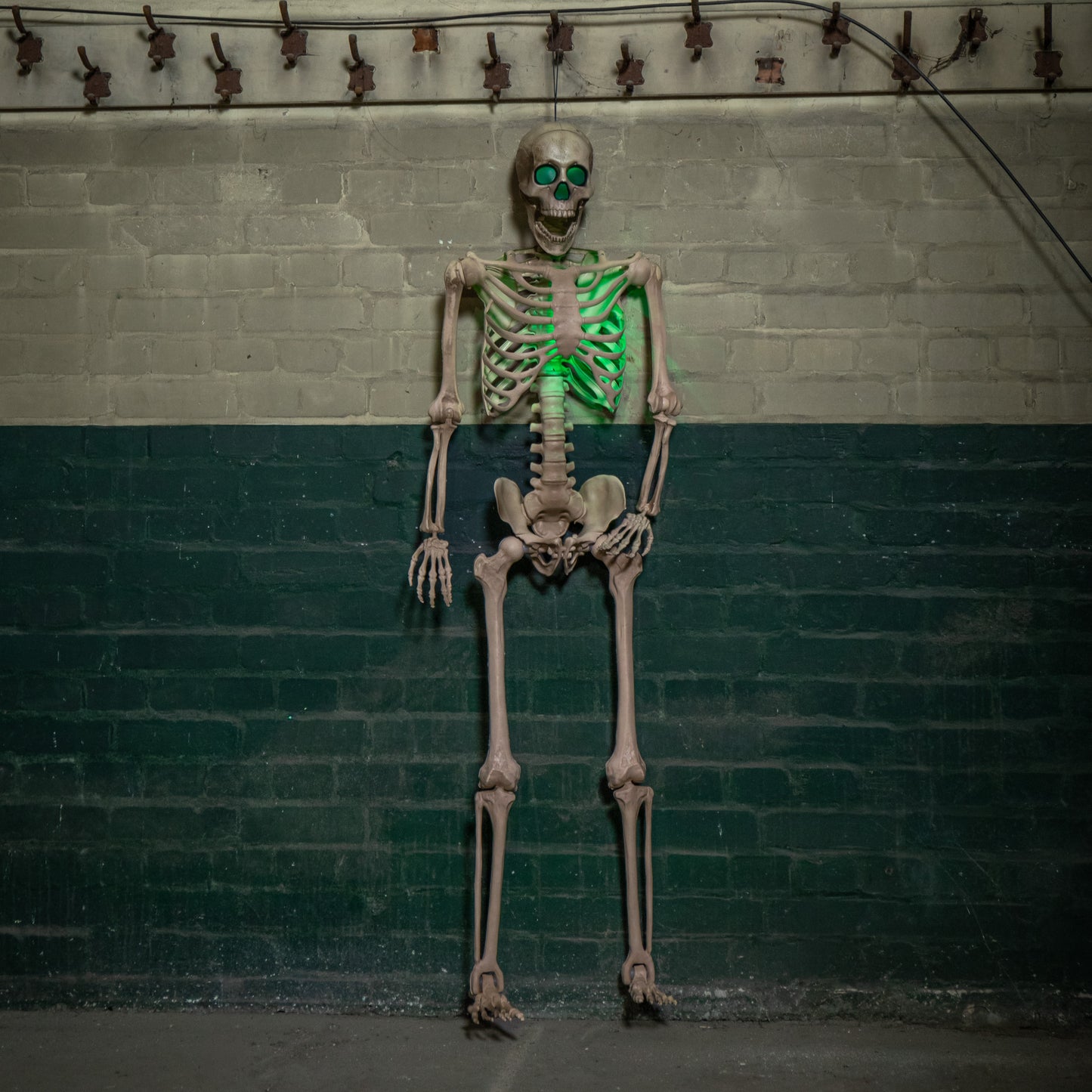 5ft (152cm) Battery Powered Light up Halloween Skeleton with Poseable Joints & Green LEDs