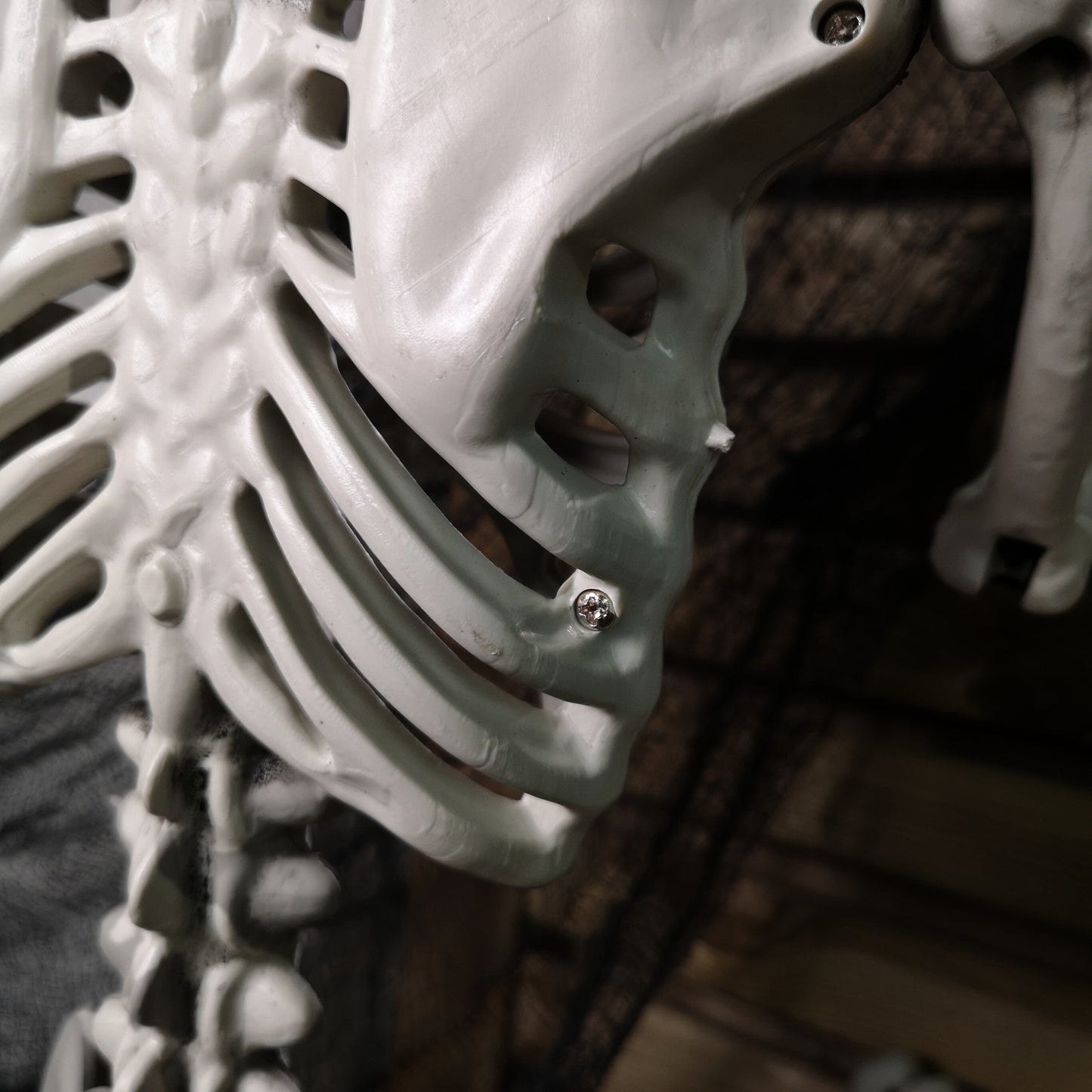 90cm (3ft) Posable Full Body Halloween Skeleton Decoration with Movable Joints