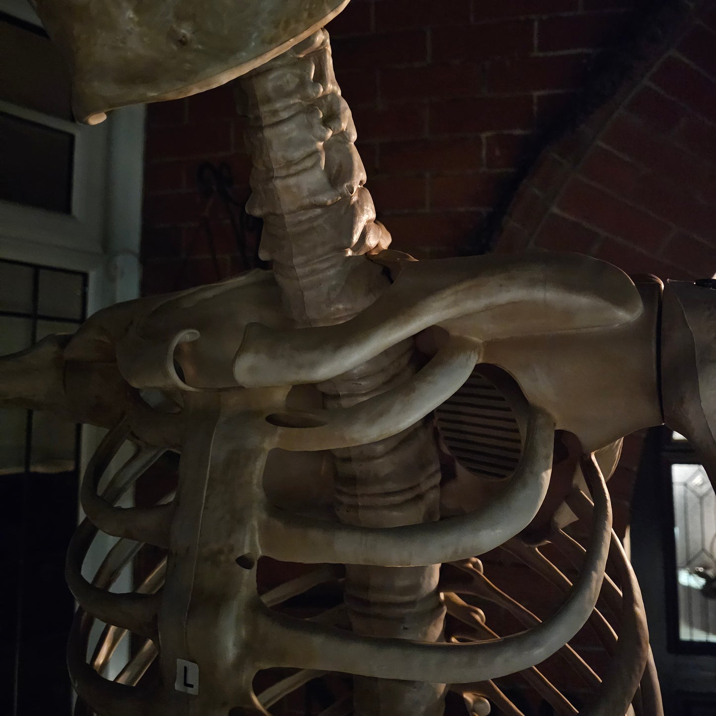 GIANT 8ft (240cm) Standing Indoor Outdoor Animatronic Halloween Skeleton Decoration