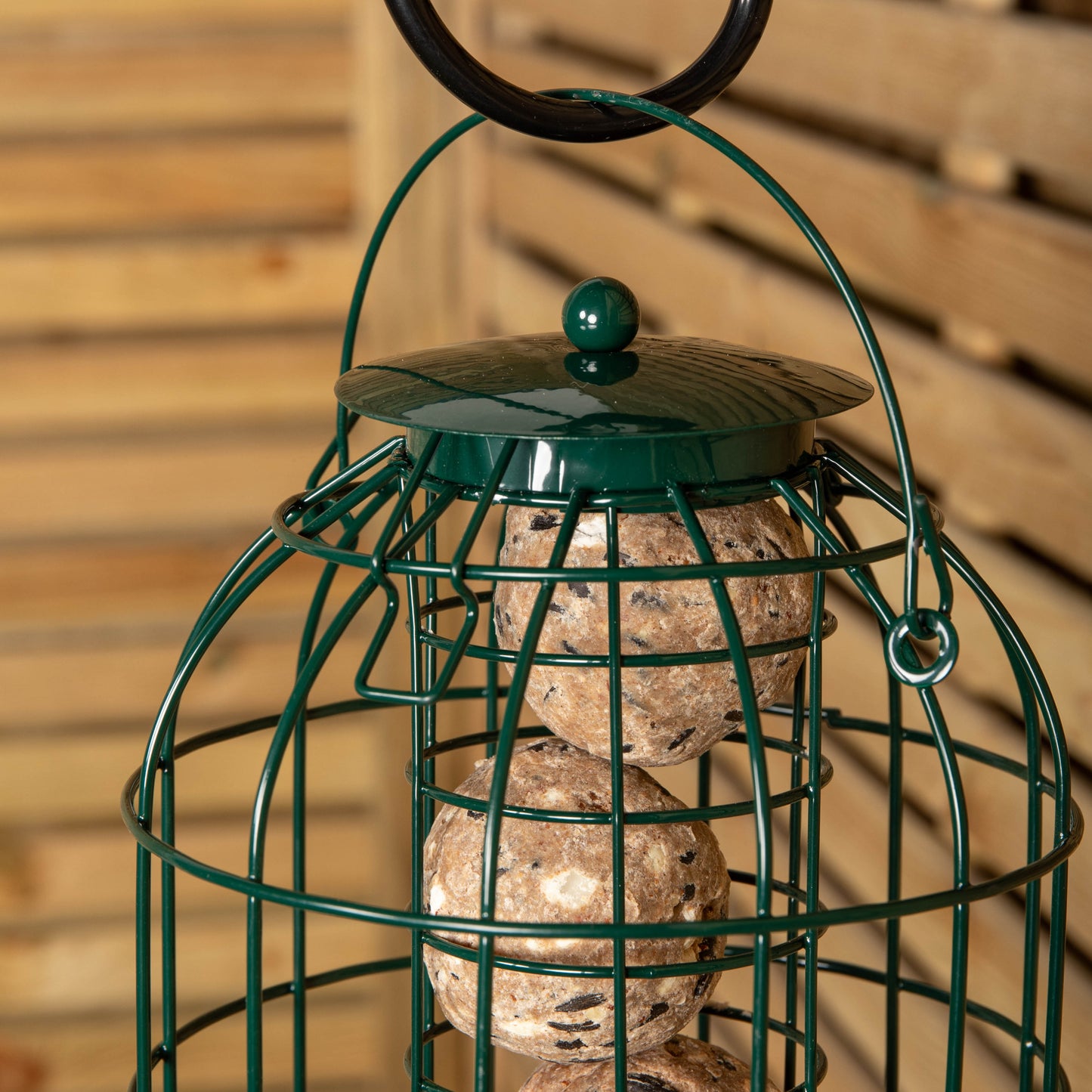 Pack of 3 Wild Bird Fat Ball Feeder with Squirrel Guard
