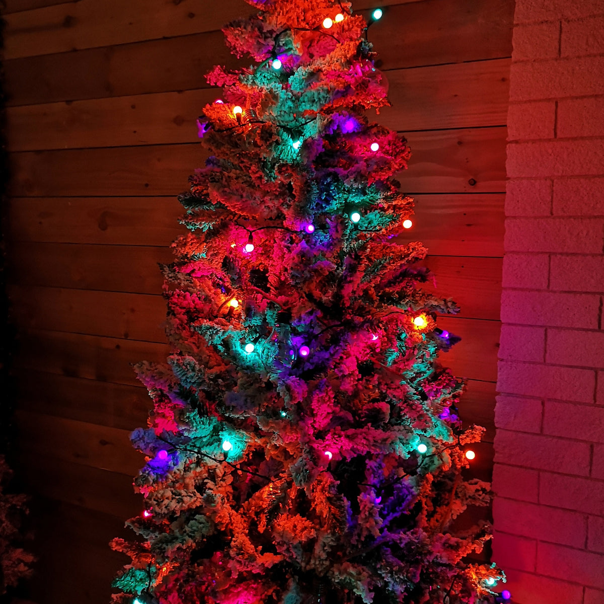 50 LED Pearl Berry Multi-Action Christmas String Lights in Rainbow