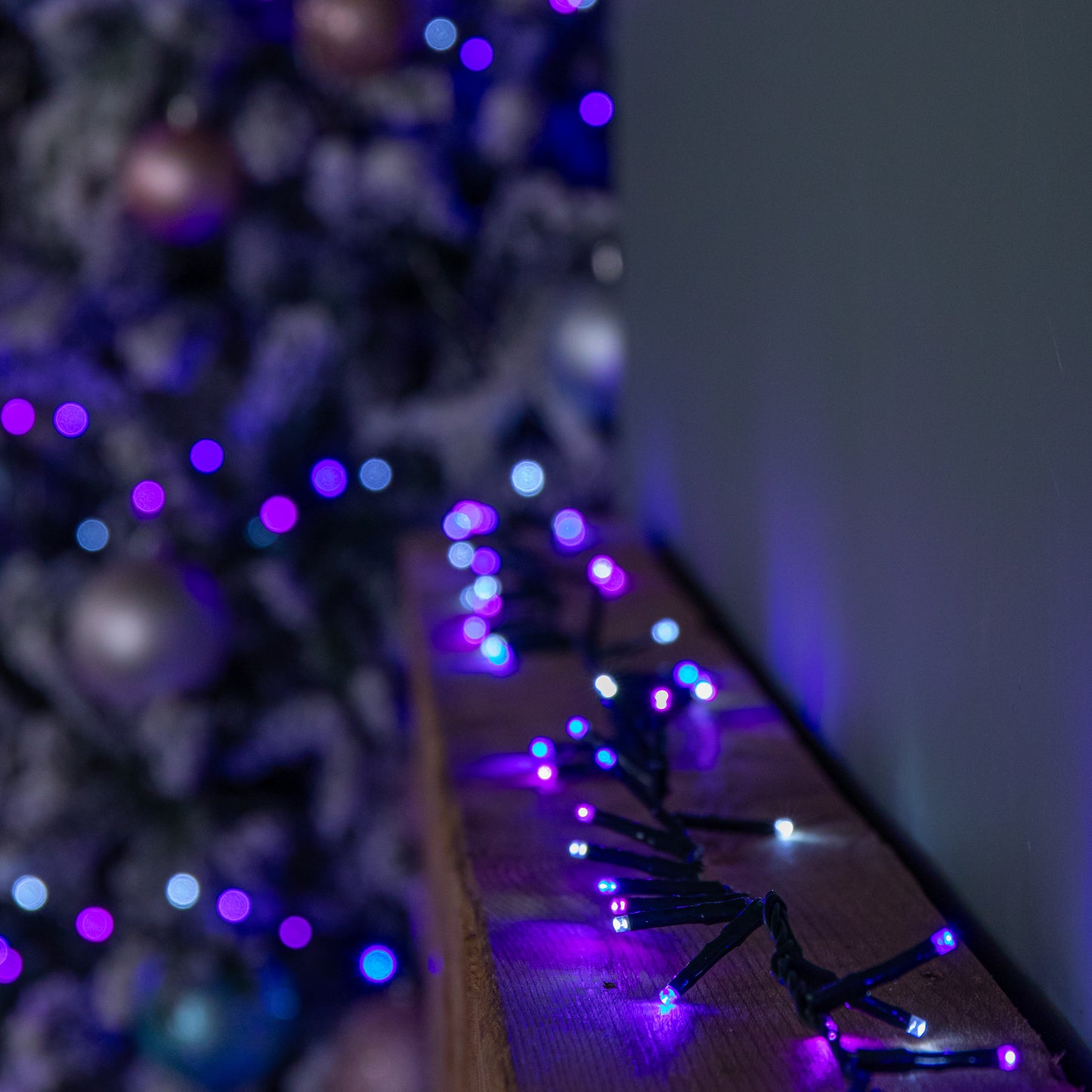 50m 2000 LED TreeBrights Christmas String Lights with Timer in Blue, White & Purple