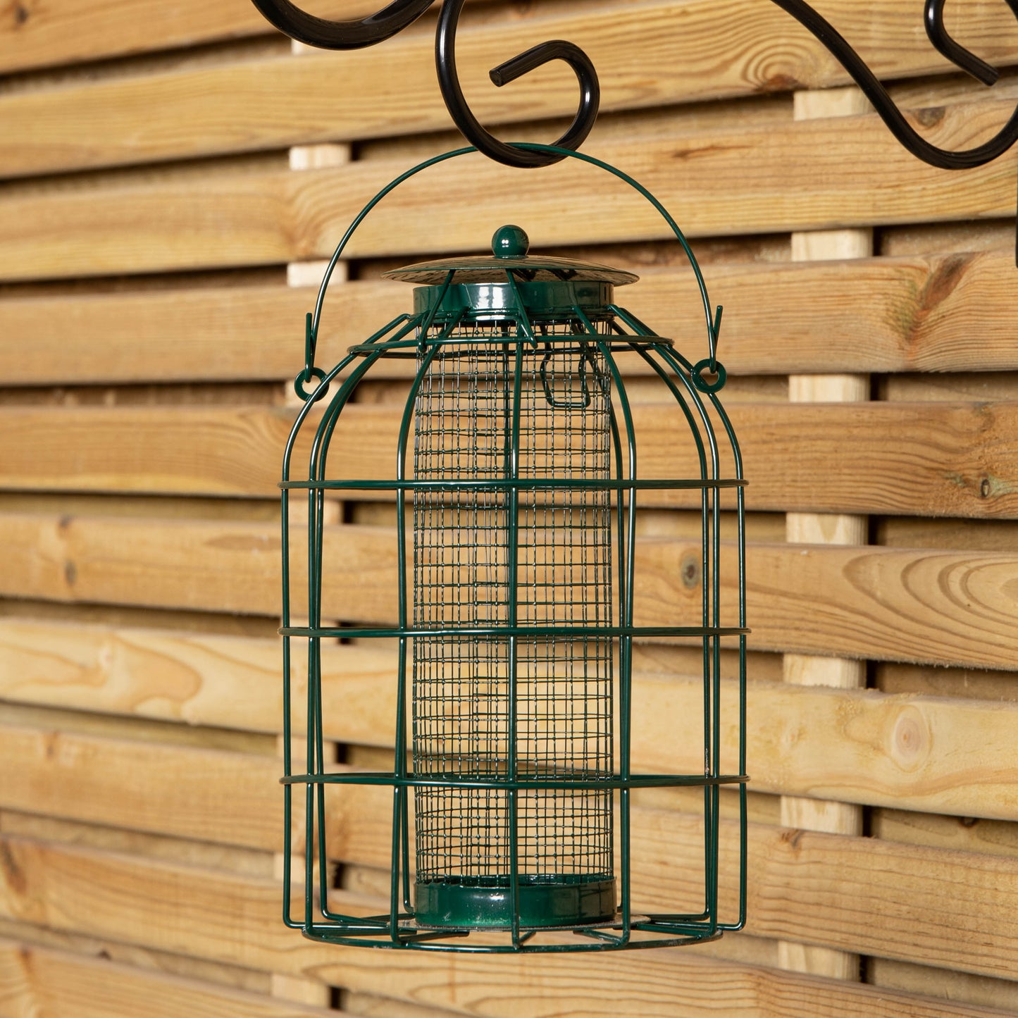 Samuel Alexander Metal Hanging Bird Nut Feeder with Squirrel Guard & Pack of Nut Feed