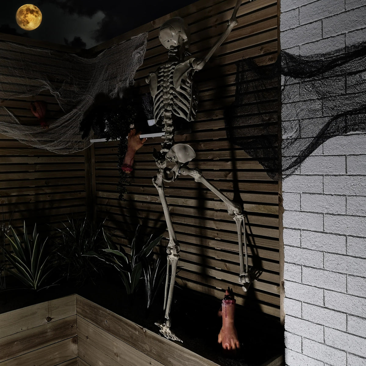 Pack of 3 5ft (150cm) Posable Full Body Halloween LED Skeleton Decoration with Movable Joints and LED Eyes