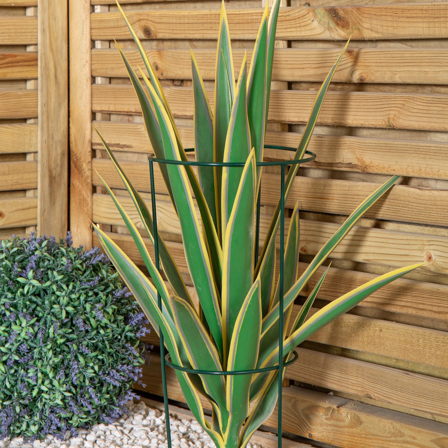 Tom Chambers Urban Green Conical Garden Plant Support Ring 20cm- Small