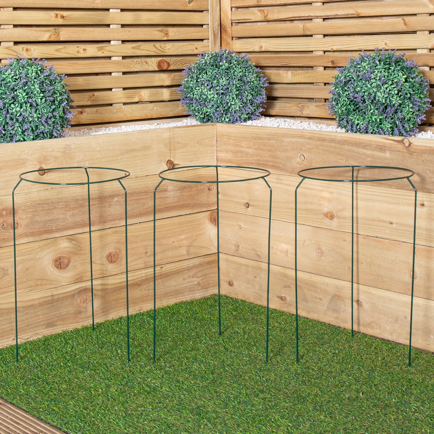 Pack of 3 Tom Chambers Urban Metal Herbaceous Garden Plant Support Ring Medium 30cm x 50cm