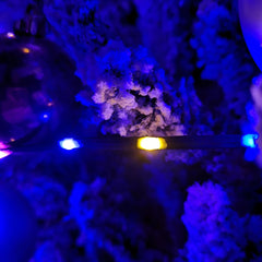 17.5m Indoor Outdoor Flexibrights Christmas Lights with 500 RainbowLEDs