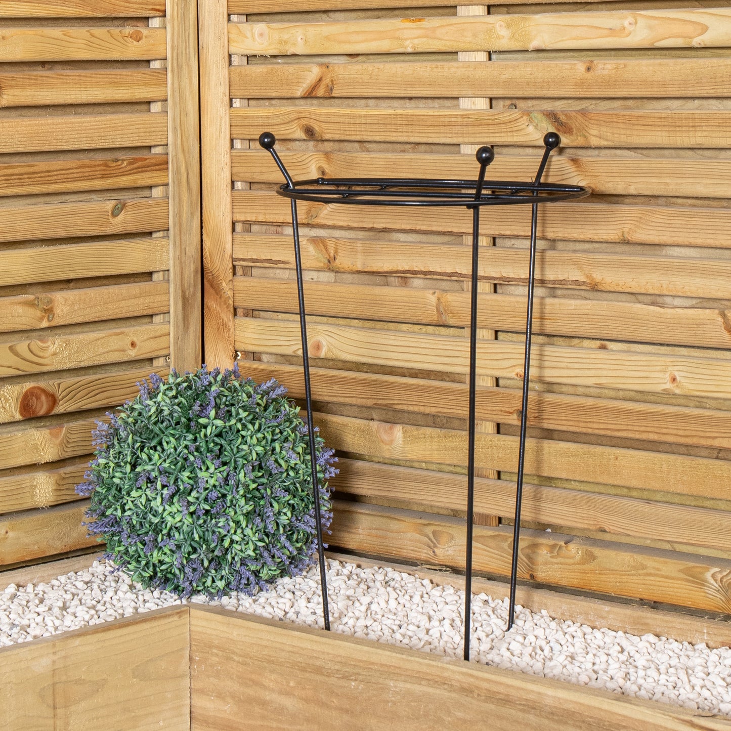 Tom Chambers Heavy Duty Black Metal Steel Garden Plant Support Grow Through - 60cm x 35cm