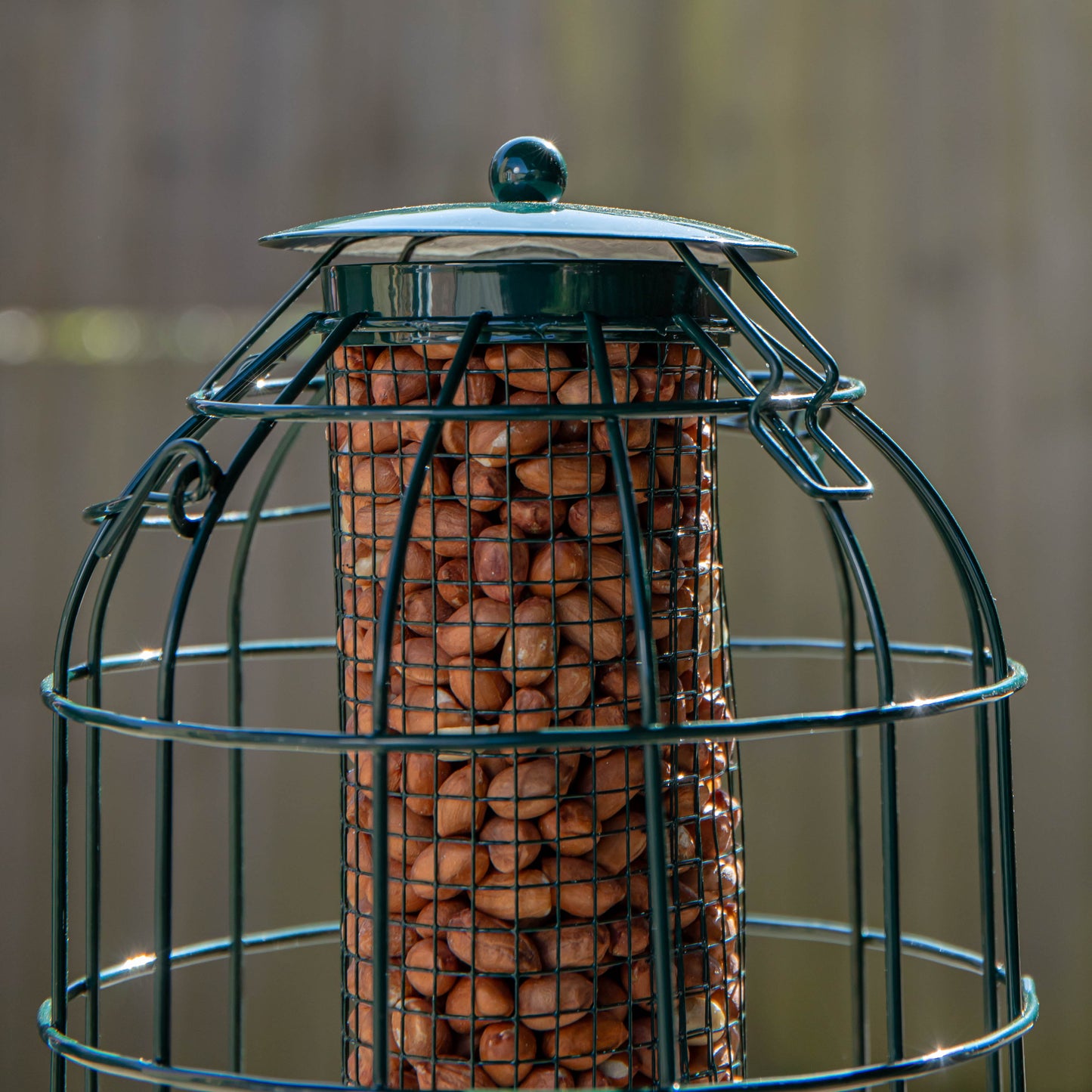 Natures Market Wild Bird Hanging Nut Feeder with Squirrel Guard
