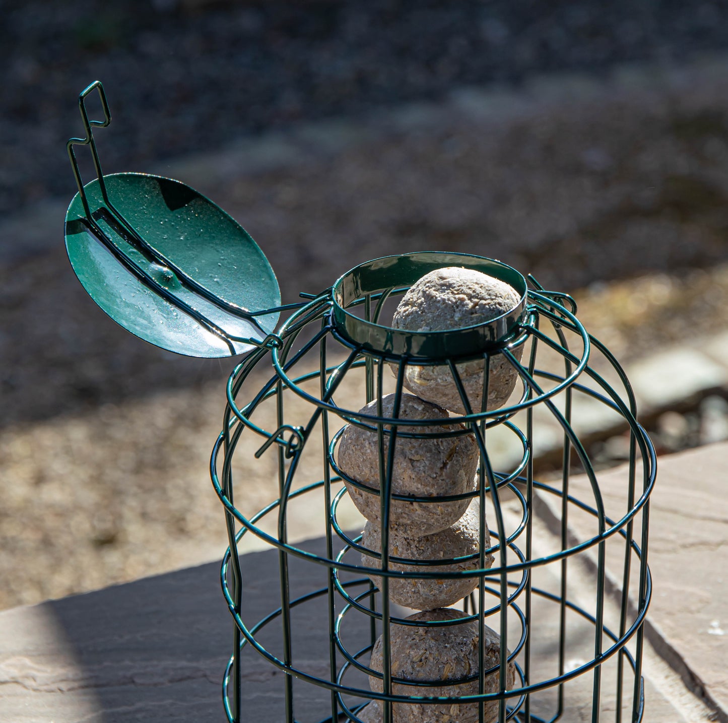 Pack of 2 Samuel Alexander Metal Hanging Bird Fat Ball Feeder with Squirrel Guard & Pack of 6 Suet Fat Balls