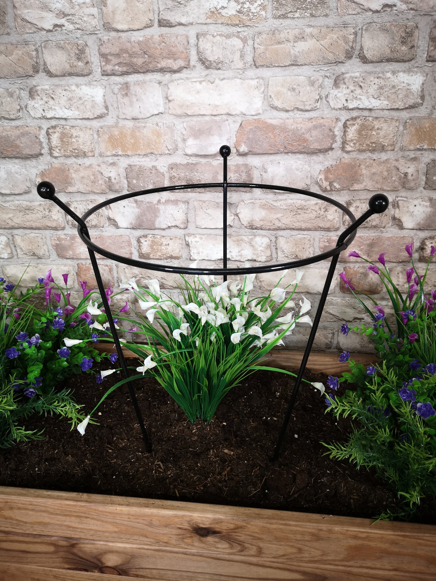 6 Pack of Small 60cm x 35cm Heavy Duty Black Steel Herbaceous Garden Plant Support Ring