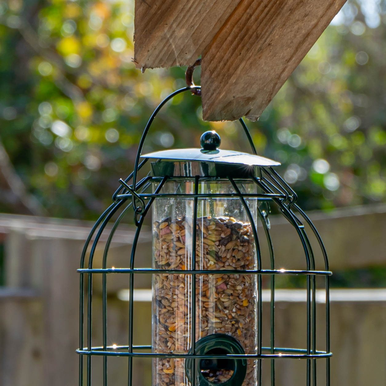 Factory Seconds: Samuel Alexander Metal Hanging Bird Seed Feeder with Squirrel Guard