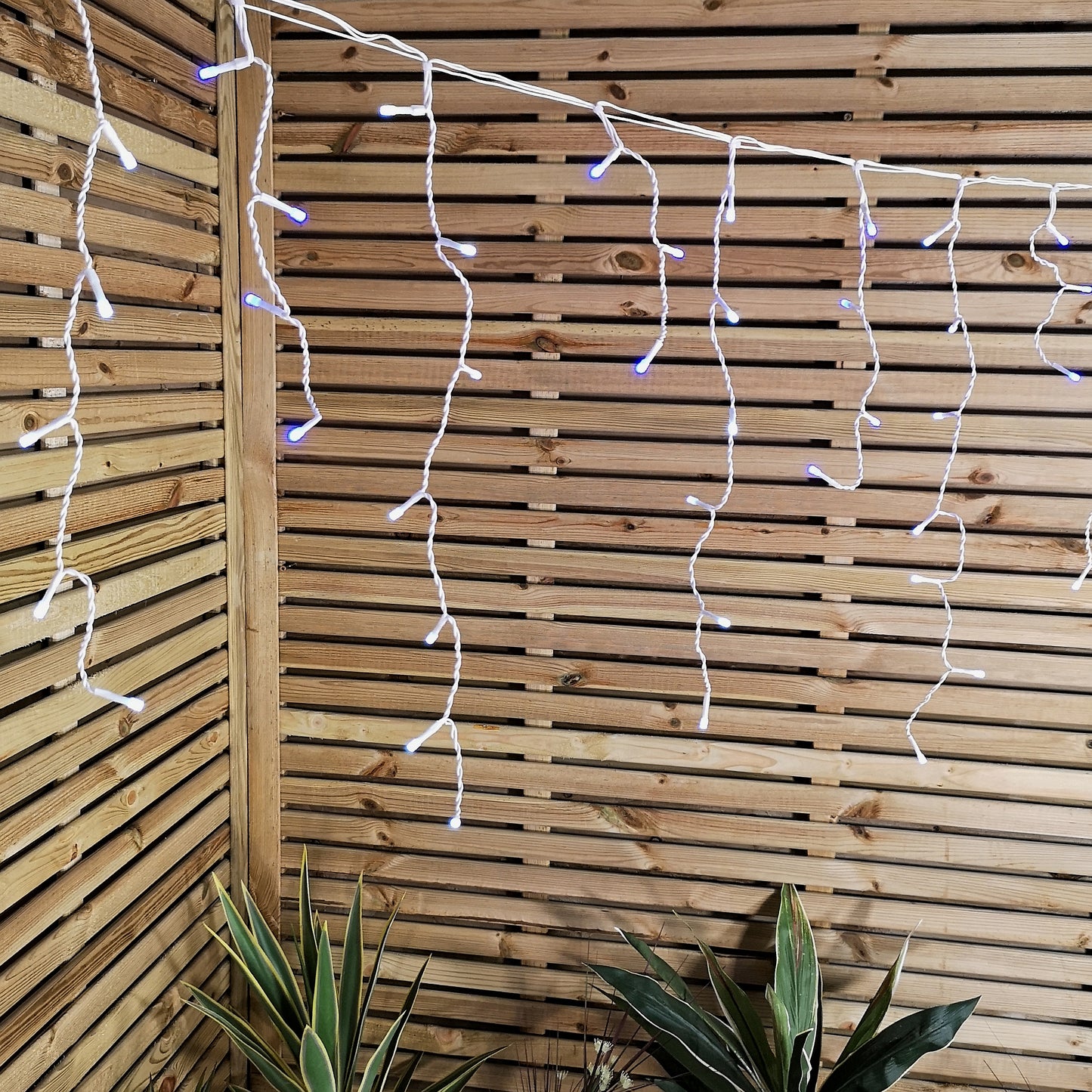 25m 1000 Blue and White LED Frosted Icicle Indoor Outdoor Christmas Lights with Timer