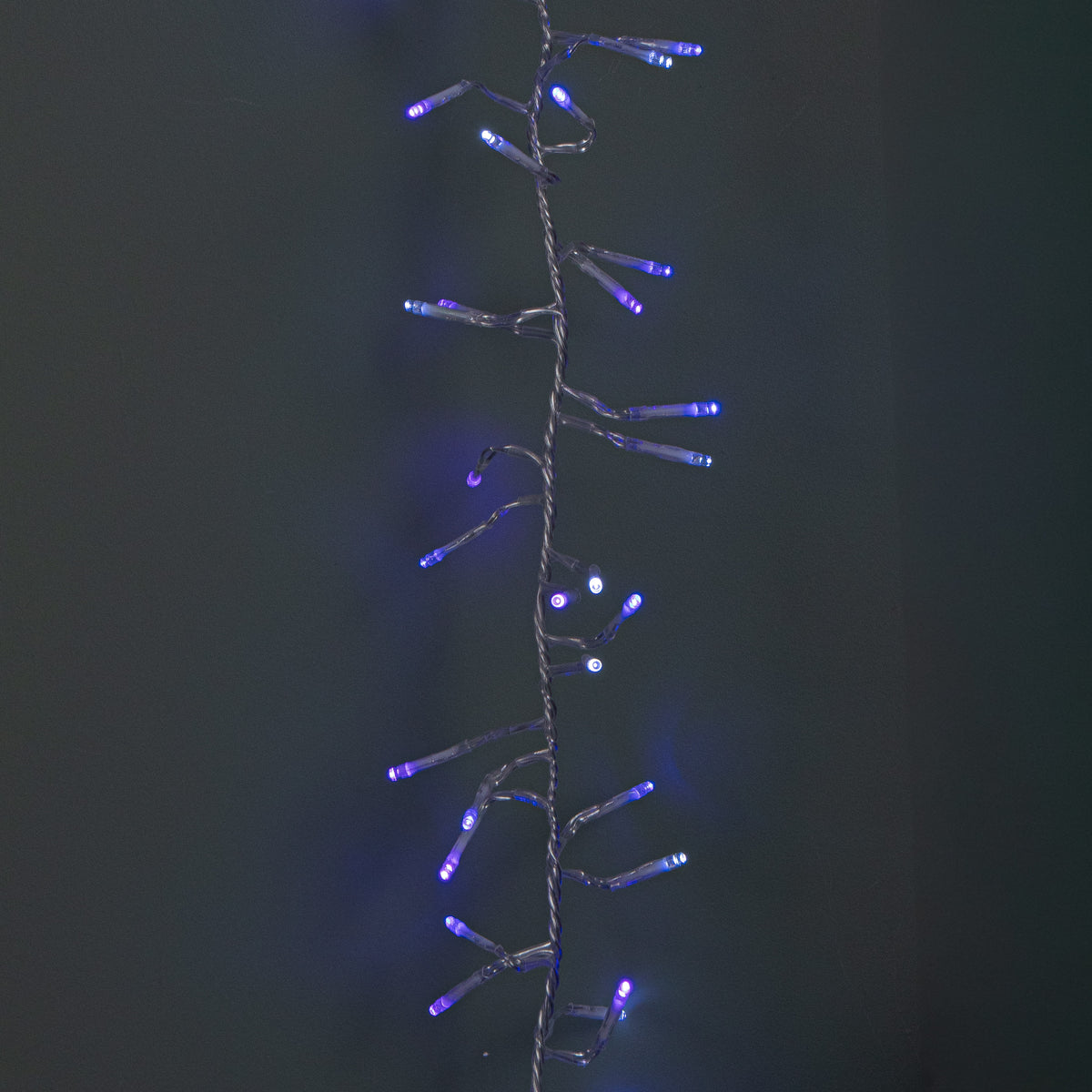 12.4m 960 LED Christmas Cluster Multi-Action String Lights with Timer in Blue, Purple & White on Clear Cable