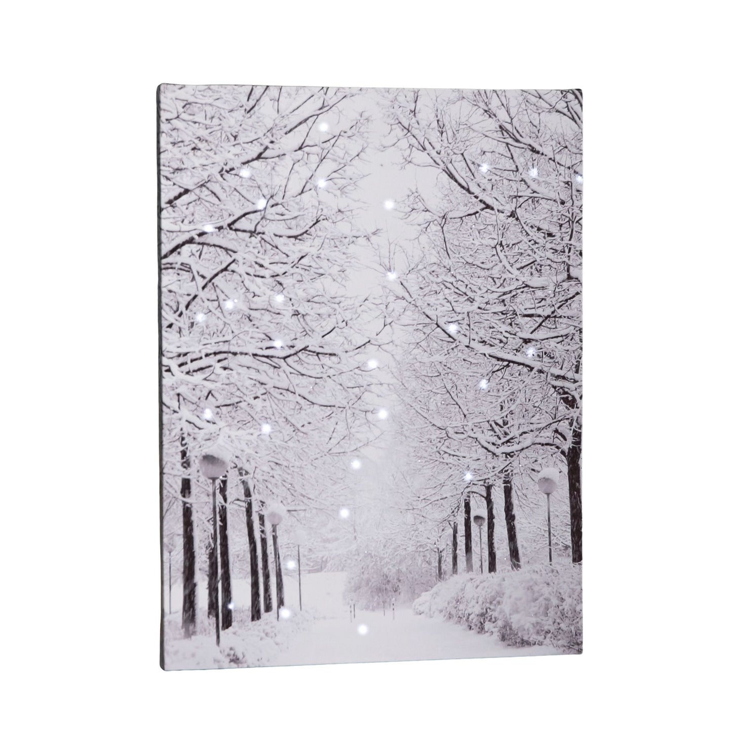 40 x 30cm Battery Operated Light up Fibre Optic Winter Avenue Christmas Wall Canvas