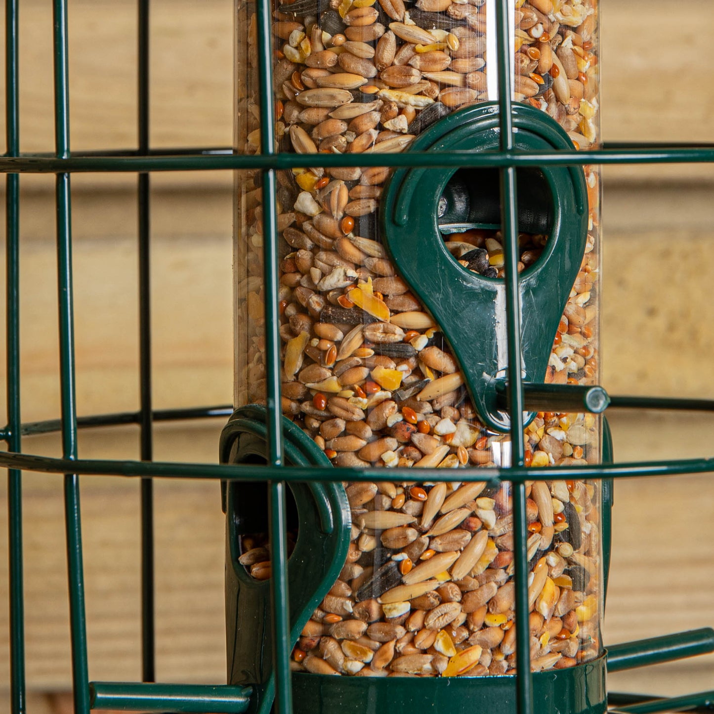 Pack of 5 Wild Bird Seed Feeder Cage with Squirrel Guard