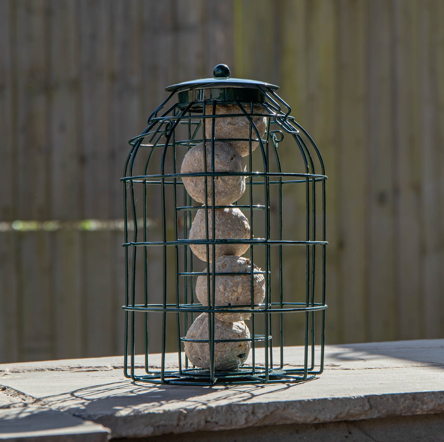 Pack of 2 Samuel Alexander Metal Hanging Bird Fat Ball Feeder with Squirrel Guard & Pack of 6 Suet Fat Balls