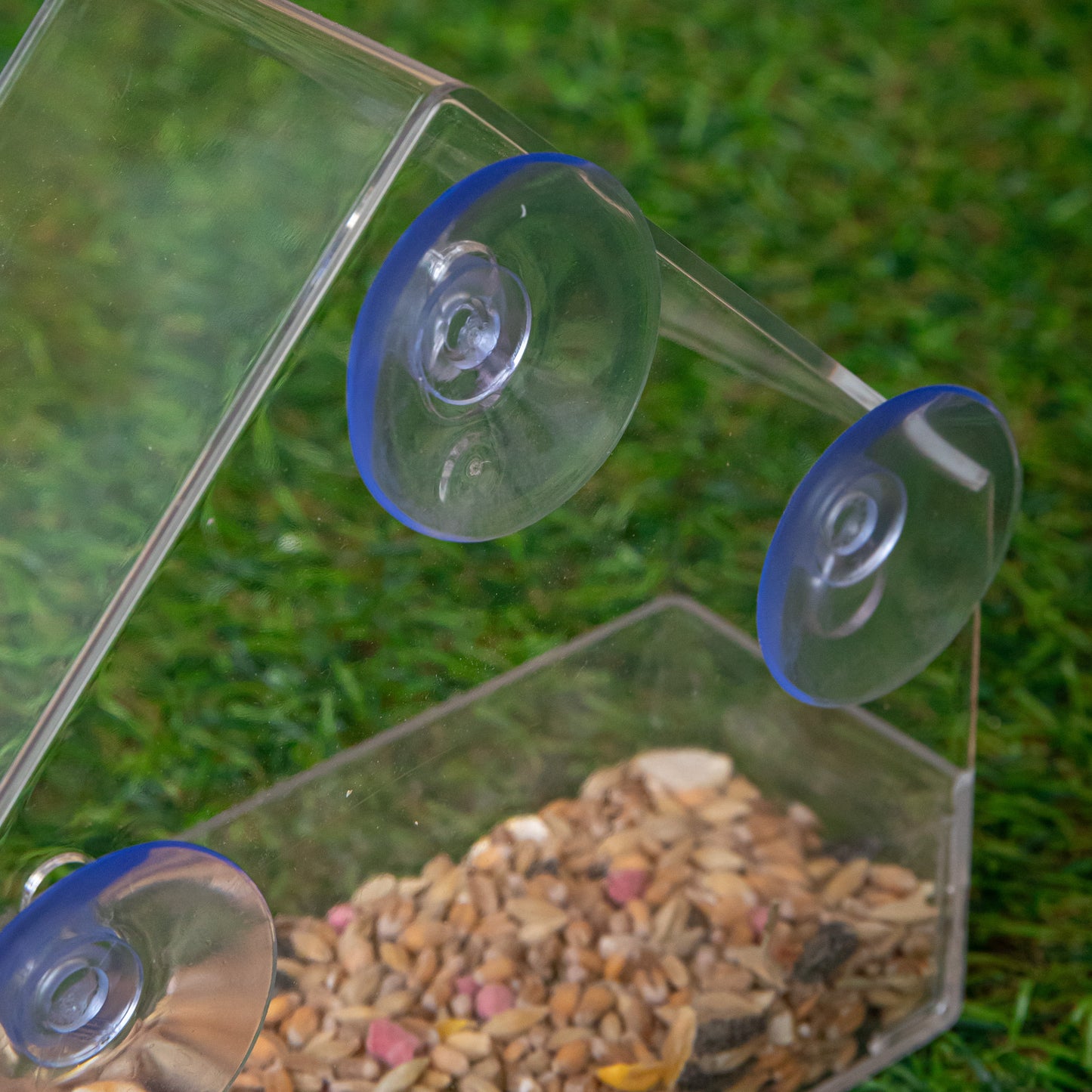 15cm Clear Plastic Glass Window Garden Wild Bird Seed Nut Feeder with Suction Cups