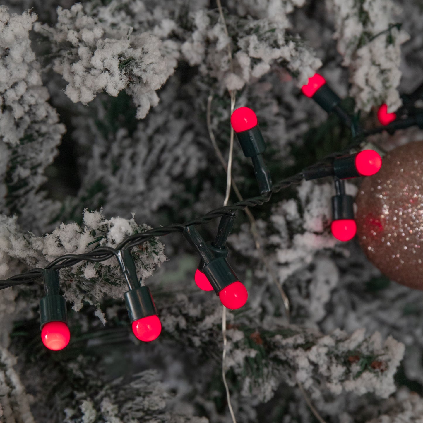 600 Christmas Berry String Lights in Red with Multi-Action LEDs