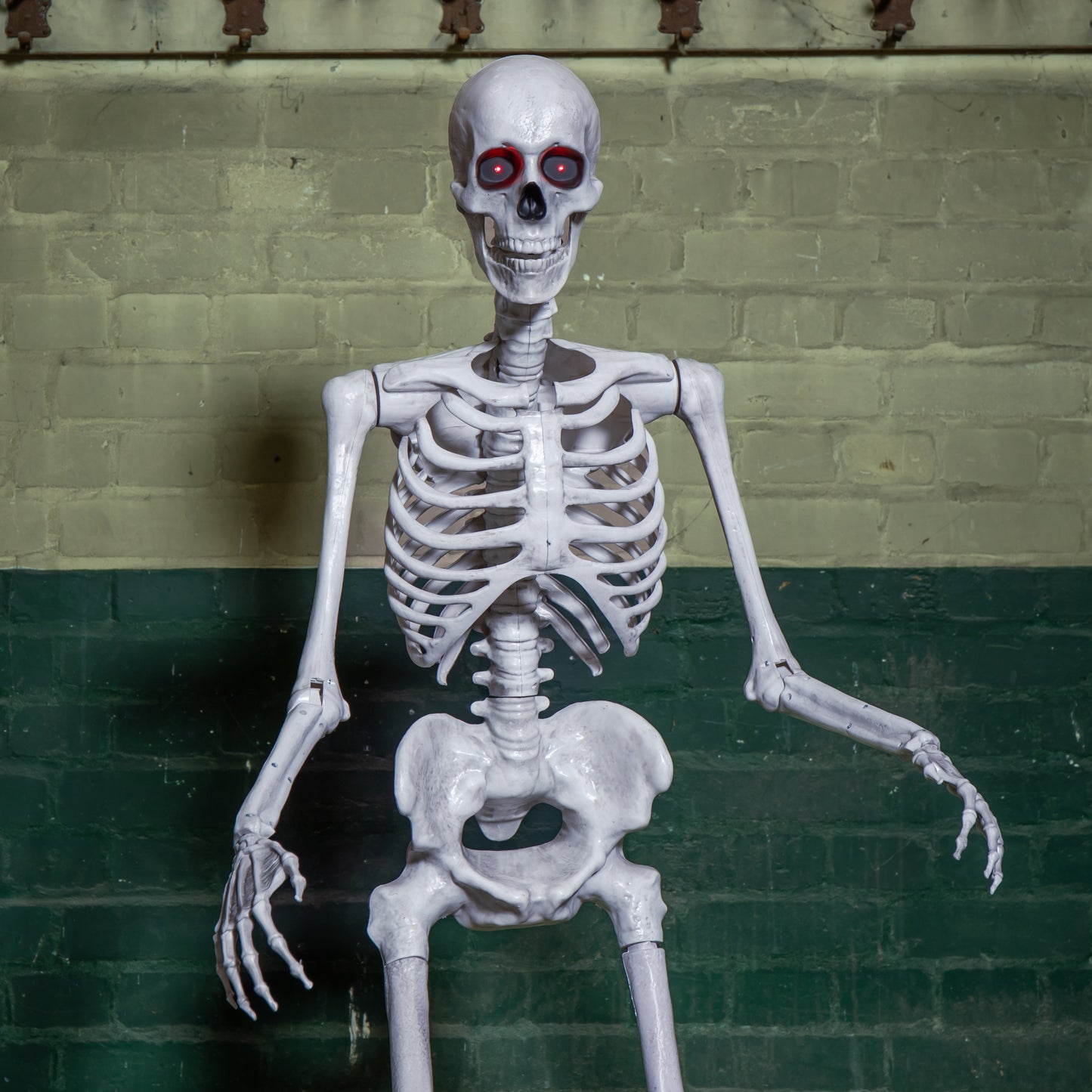 5ft (1.5m) Full Body Halloween Standing Skeleton with Posable Joints & Red LED Eyes