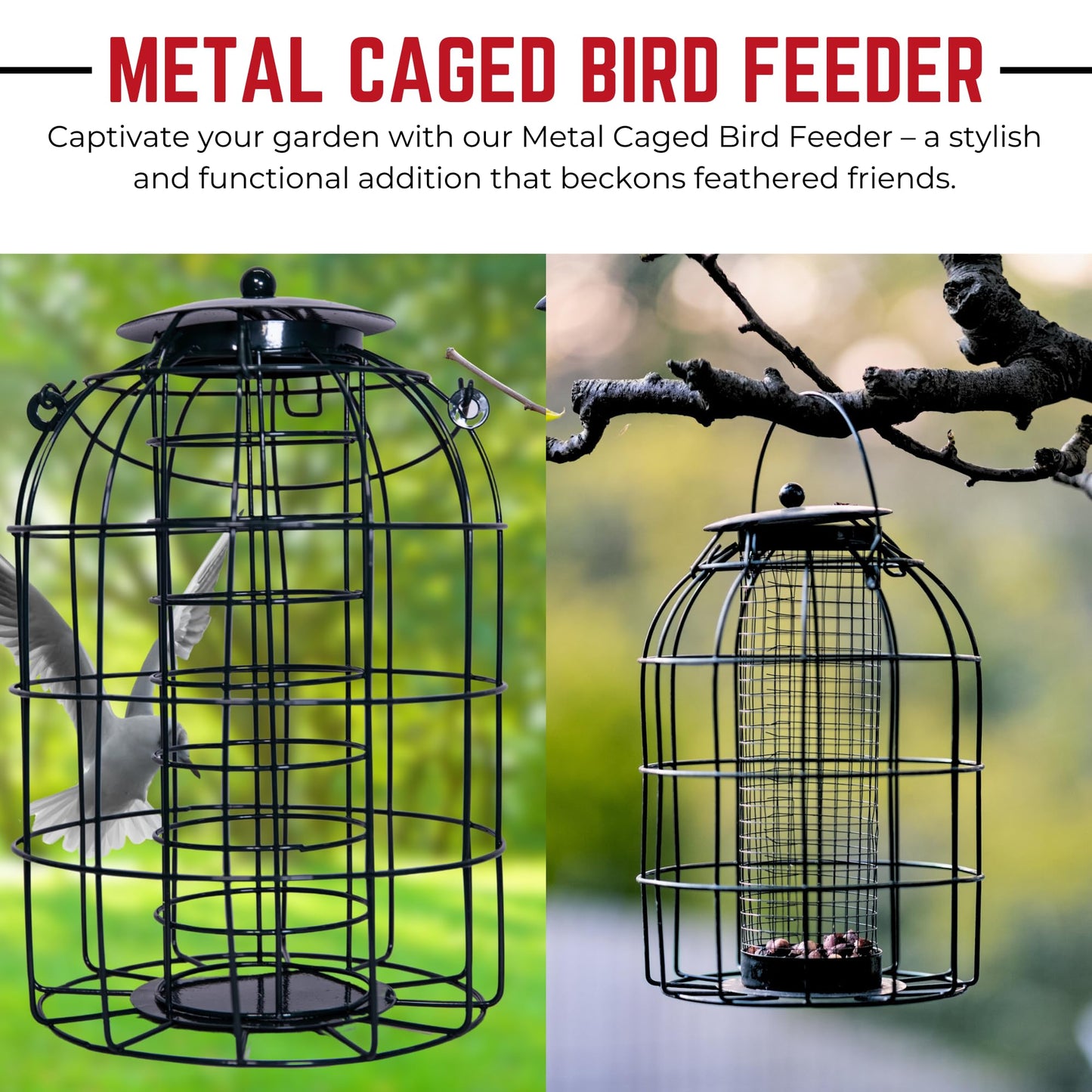 Pack of 3 Natures Market Wild Bird Hanging Nut Seed & Fat Ball Feeder with Squirrel Guard