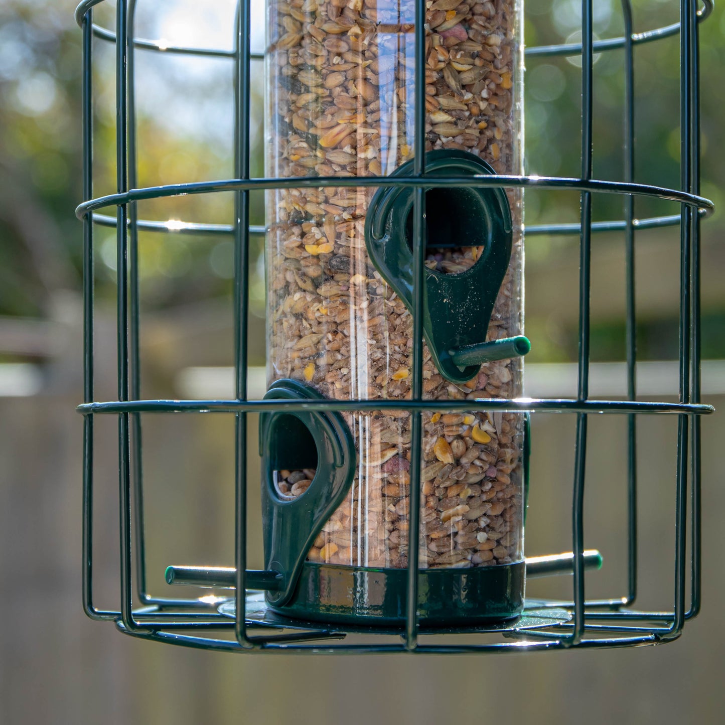 Factory Seconds: Samuel Alexander Metal Hanging Bird Seed Feeder with Squirrel Guard