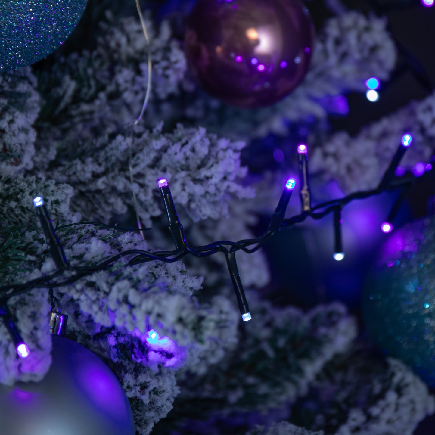 25m 1000 LED TreeBrights Christmas String Lights with Timer in Blue, Purple & White