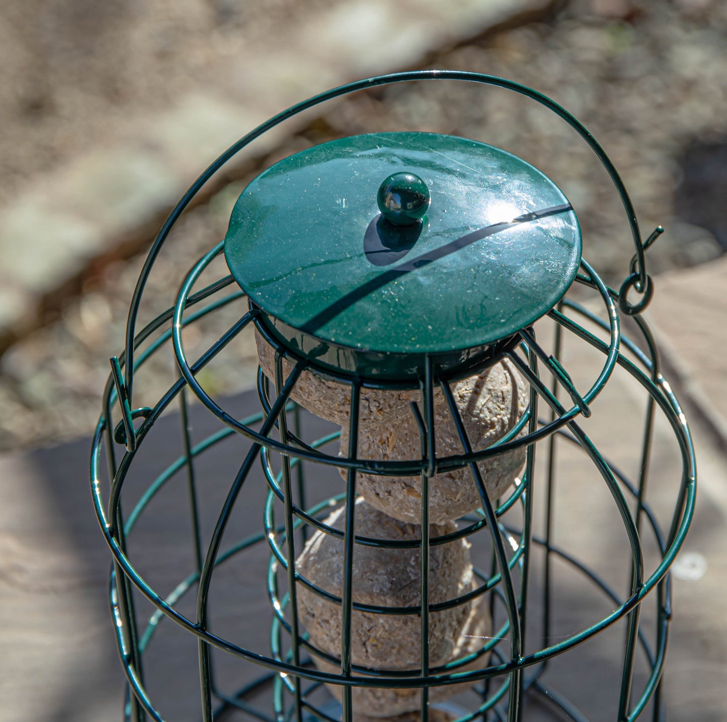 Pack of 2 Samuel Alexander Metal Hanging Bird Fat Ball Feeder with Squirrel Guard & Pack of 6 Suet Fat Balls