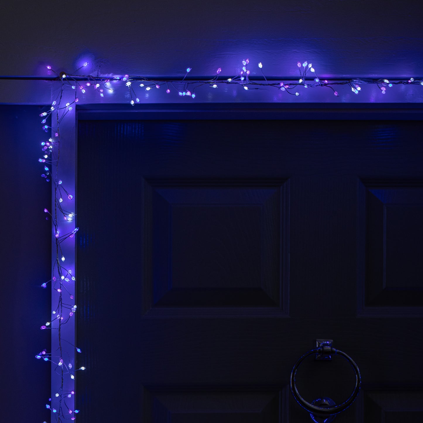 5.5m 800 LED UltraBrights Christmas Door Cluster Lights with Timer in Blue, Purple & White on Silver Wire